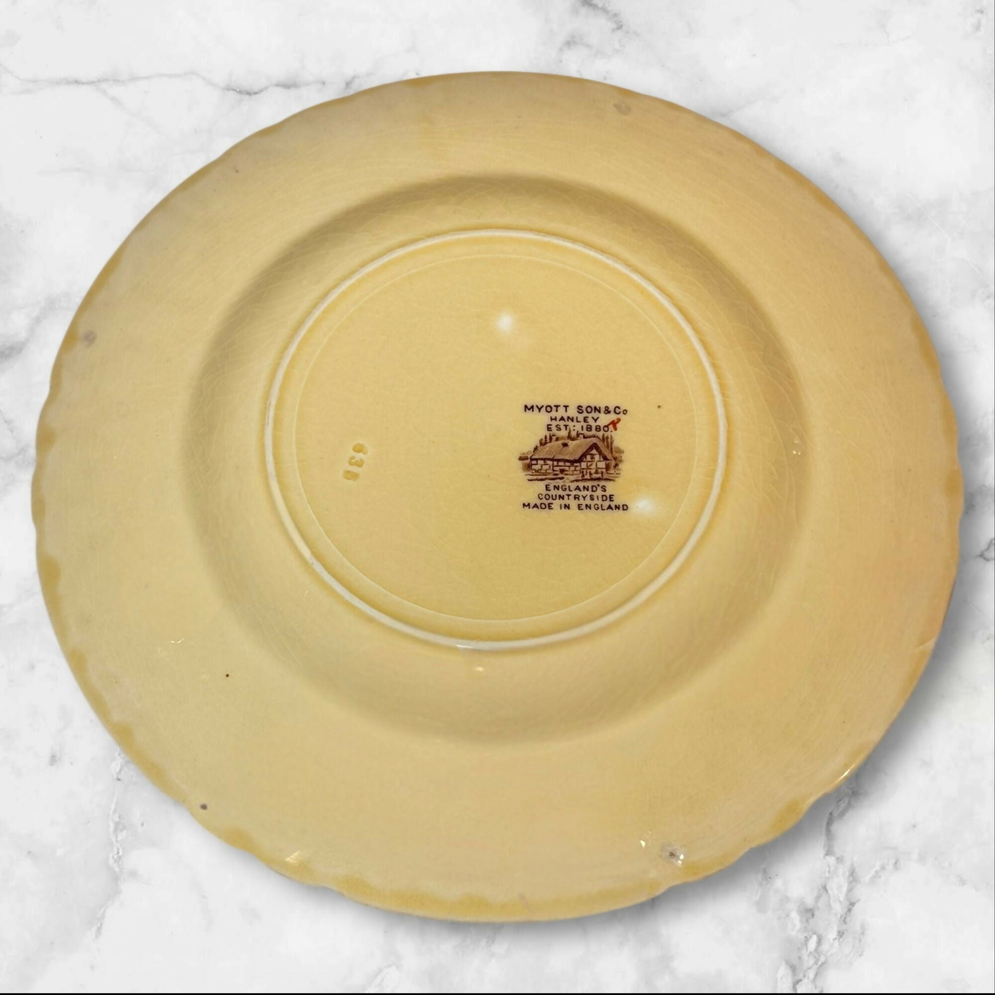 Myott England’s Countryside Dinner Plates | Set of 6 | Made in England