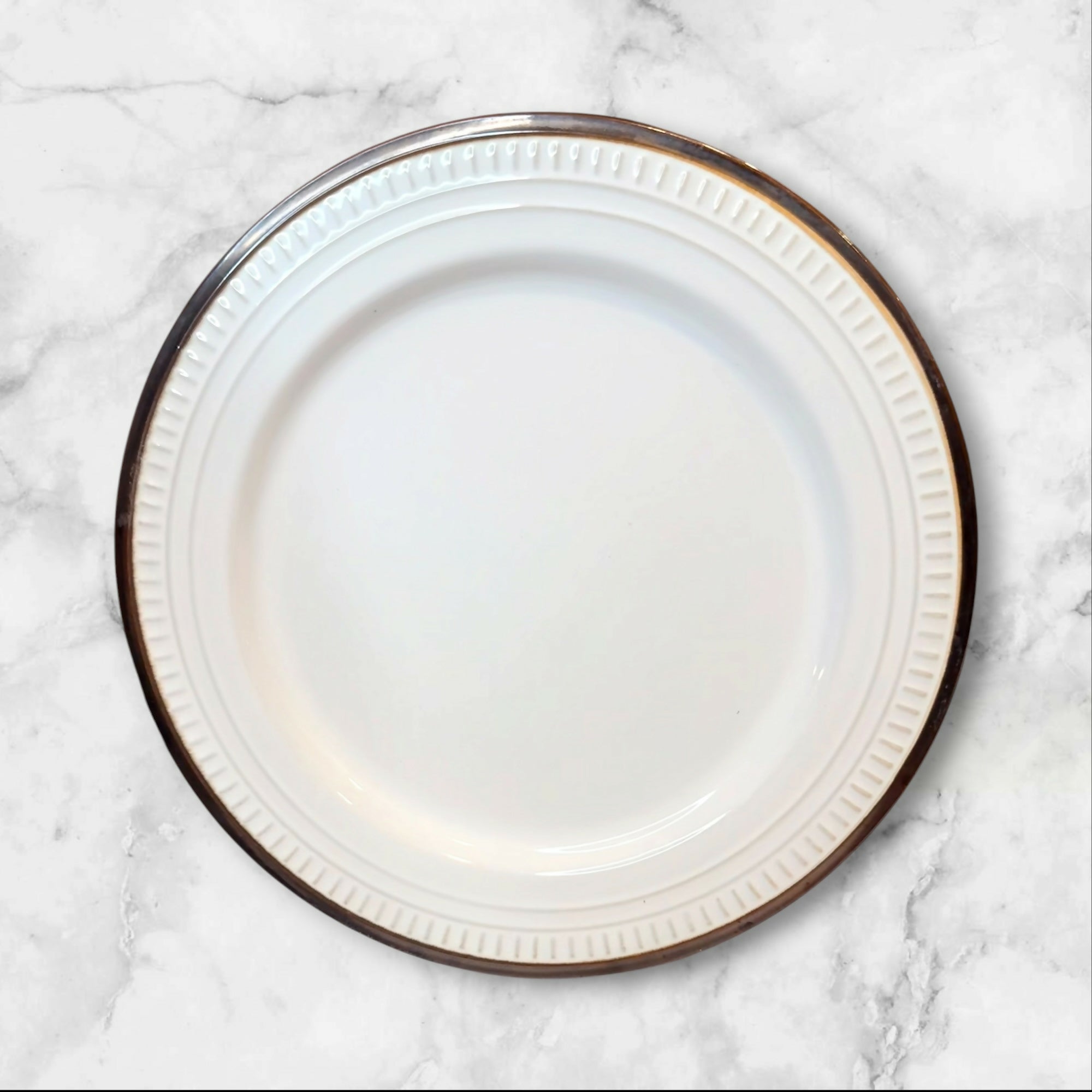 Food Network Biscotti White Dinner Plates Set of 5 Great Condition