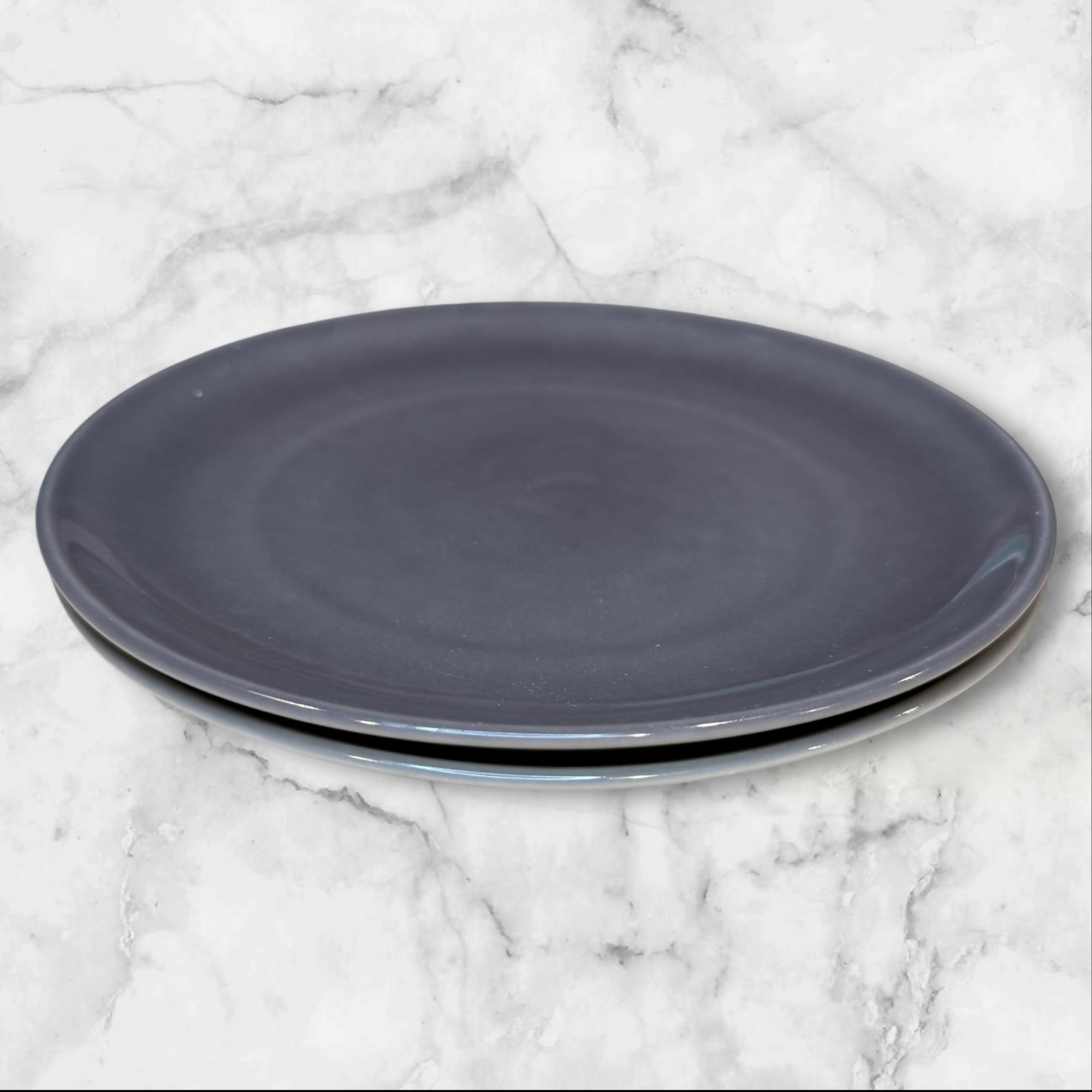 Williams Sonoma Pacifica Gray Dinner Plates | Set of 2 | 10 5/8” | Good Condition