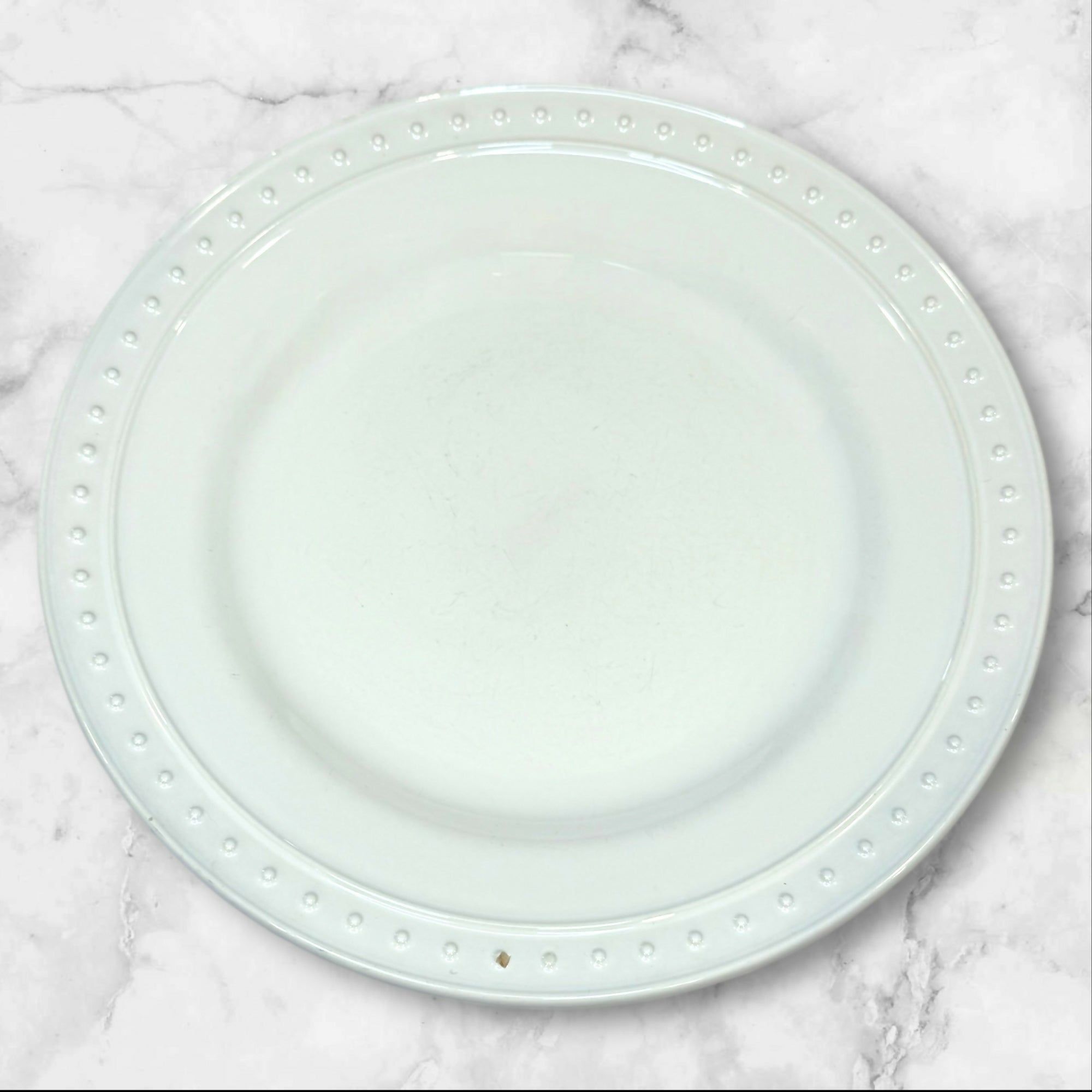 World Market Nantucket Dinner Plates | Set of 6 | Good Condition