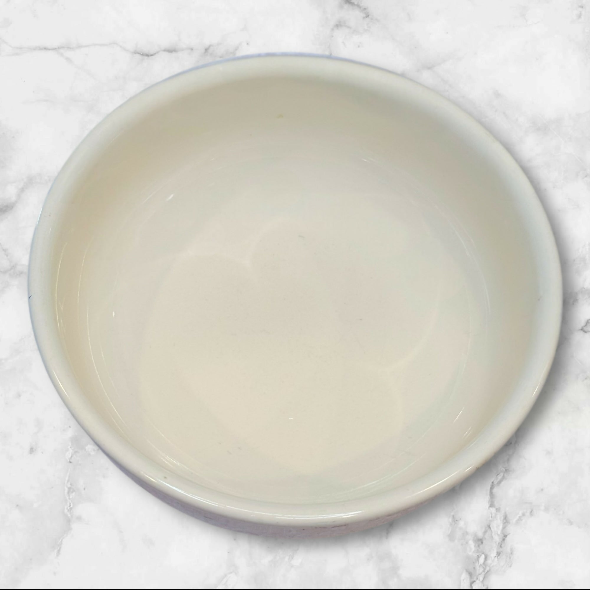 Crate & Barrel Gallery Parchment Coupe Bowls | Set of 7 | Great Condition