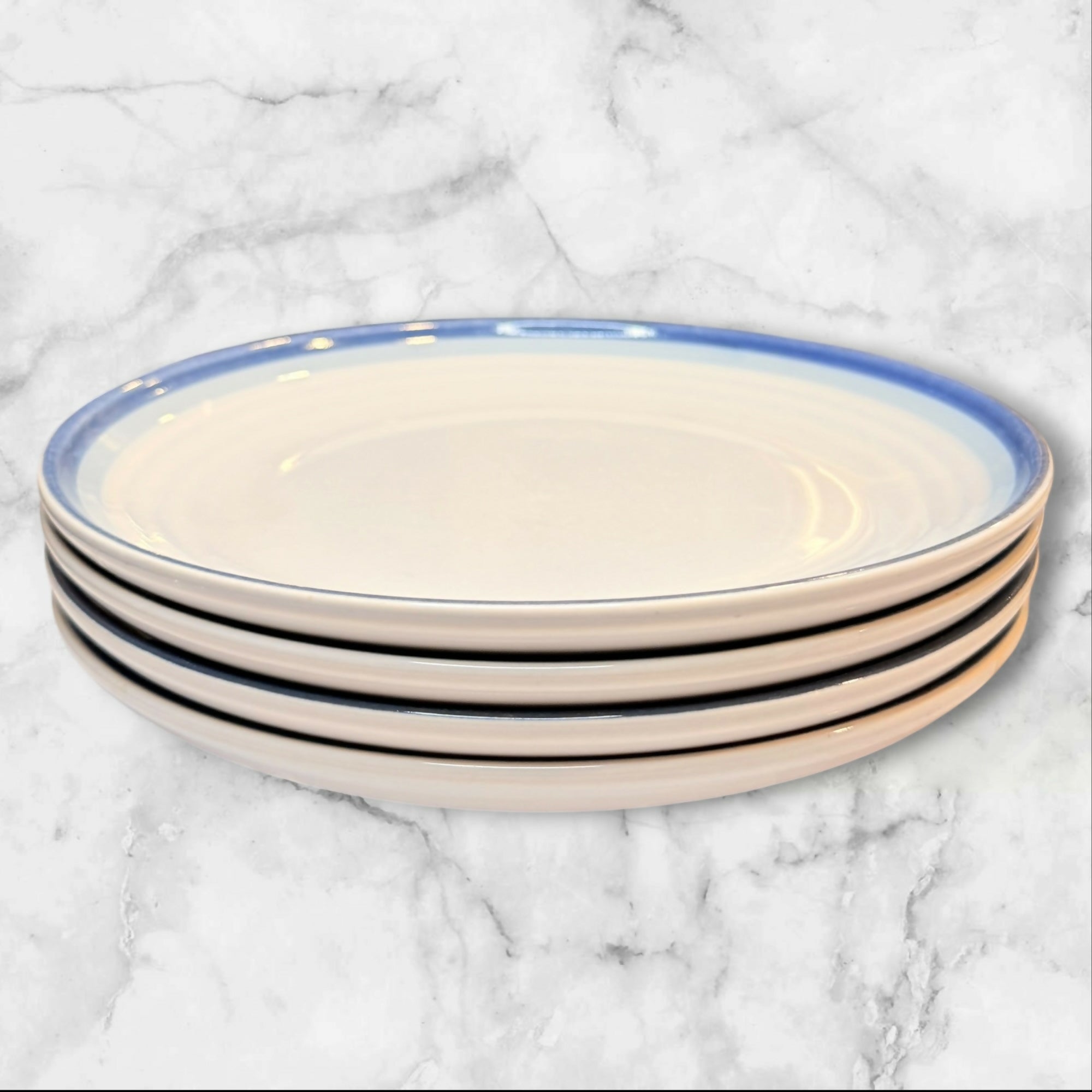 Pfaltzgraff Sky Dinner Plates Set of 4 Blue Rim Stoneware Excellent