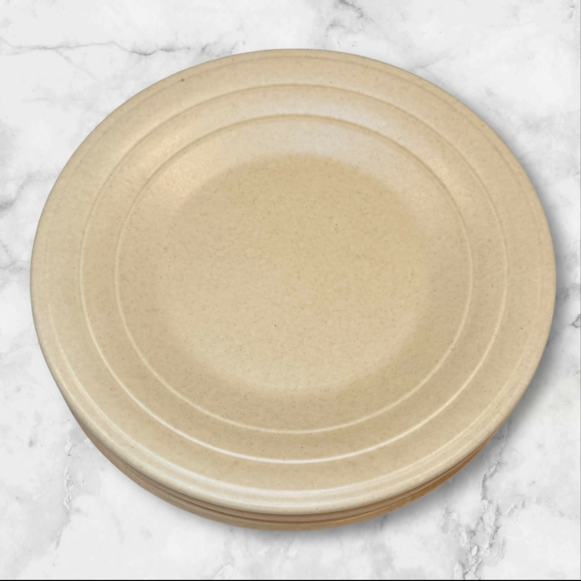 Villa Romana Speckled Stoneware Dinner Plates | Set of 4 | Gently Used