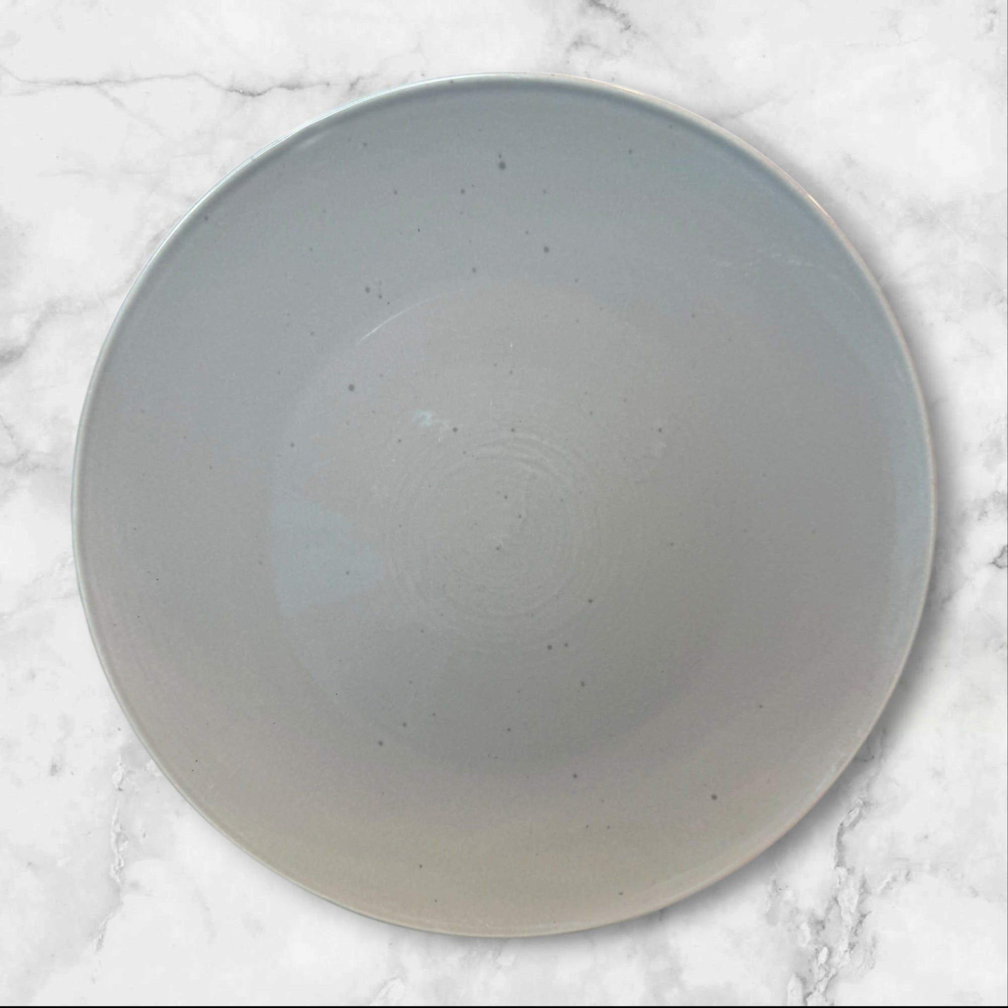 Pier 1 Clayton Speckled Stone Dinner Plates Set of 5 Great Condition