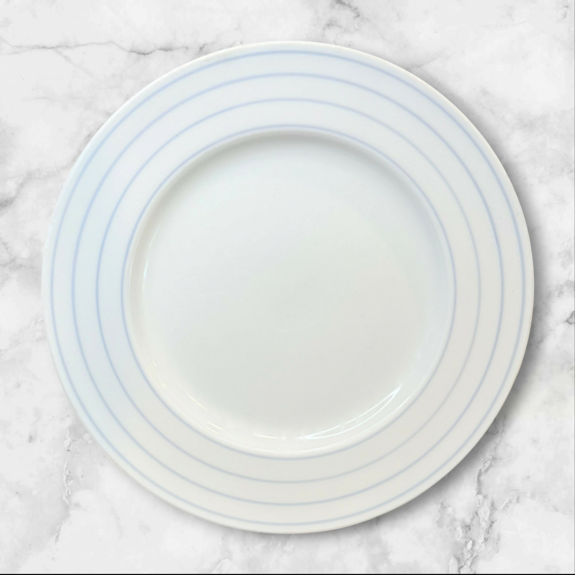Crate & Barrel Jace Porcelain Dinner Plates | Set of 6 | Gently Used