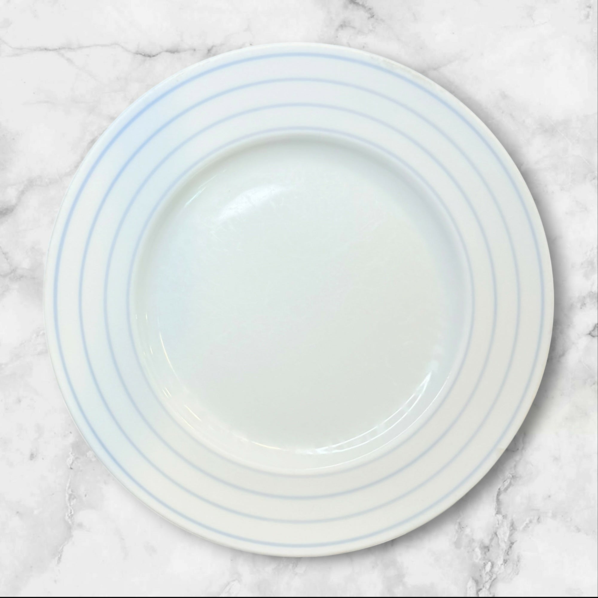 Crate & Barrel Jace Porcelain Dinner Plates | Set of 6 | Gently Used