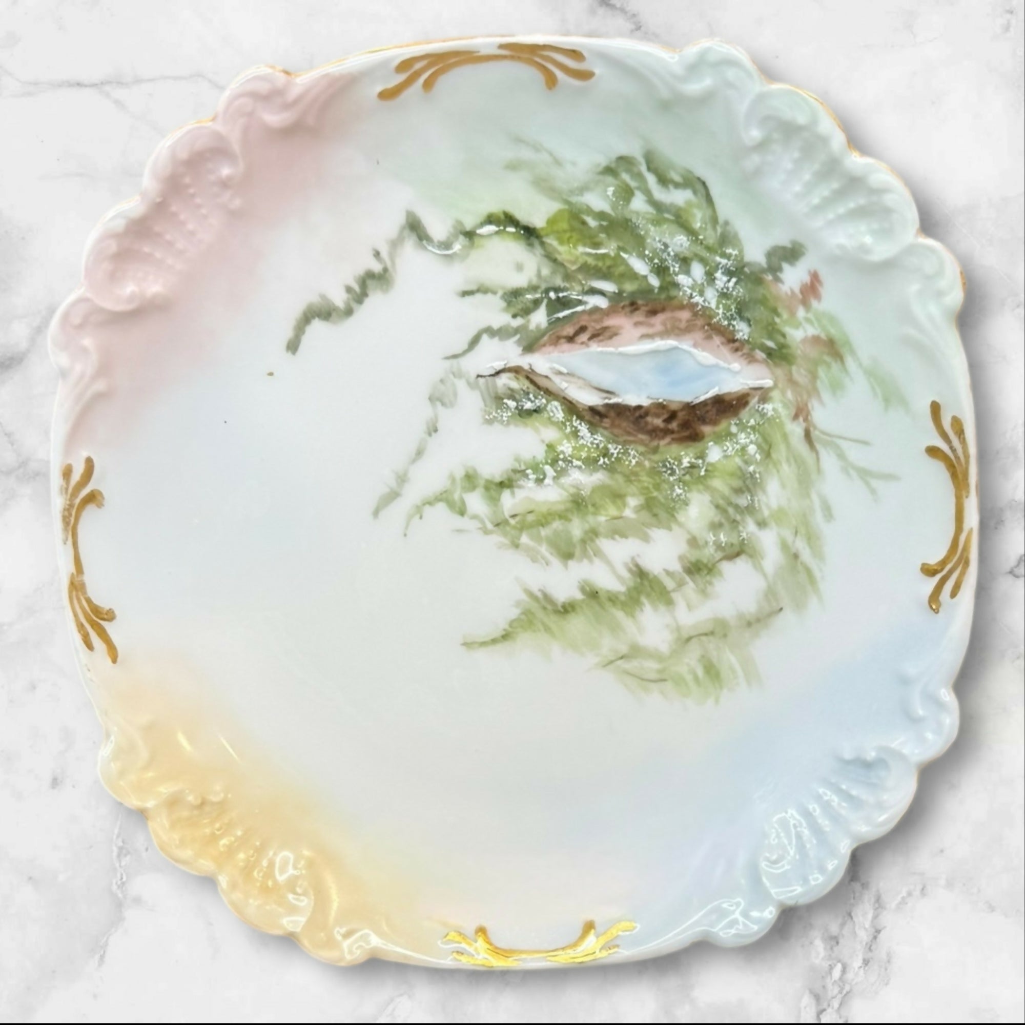 Antique Haviland Limoges Elite Hand Painted Seashell Plates | Set of 7 | Excellent Condition