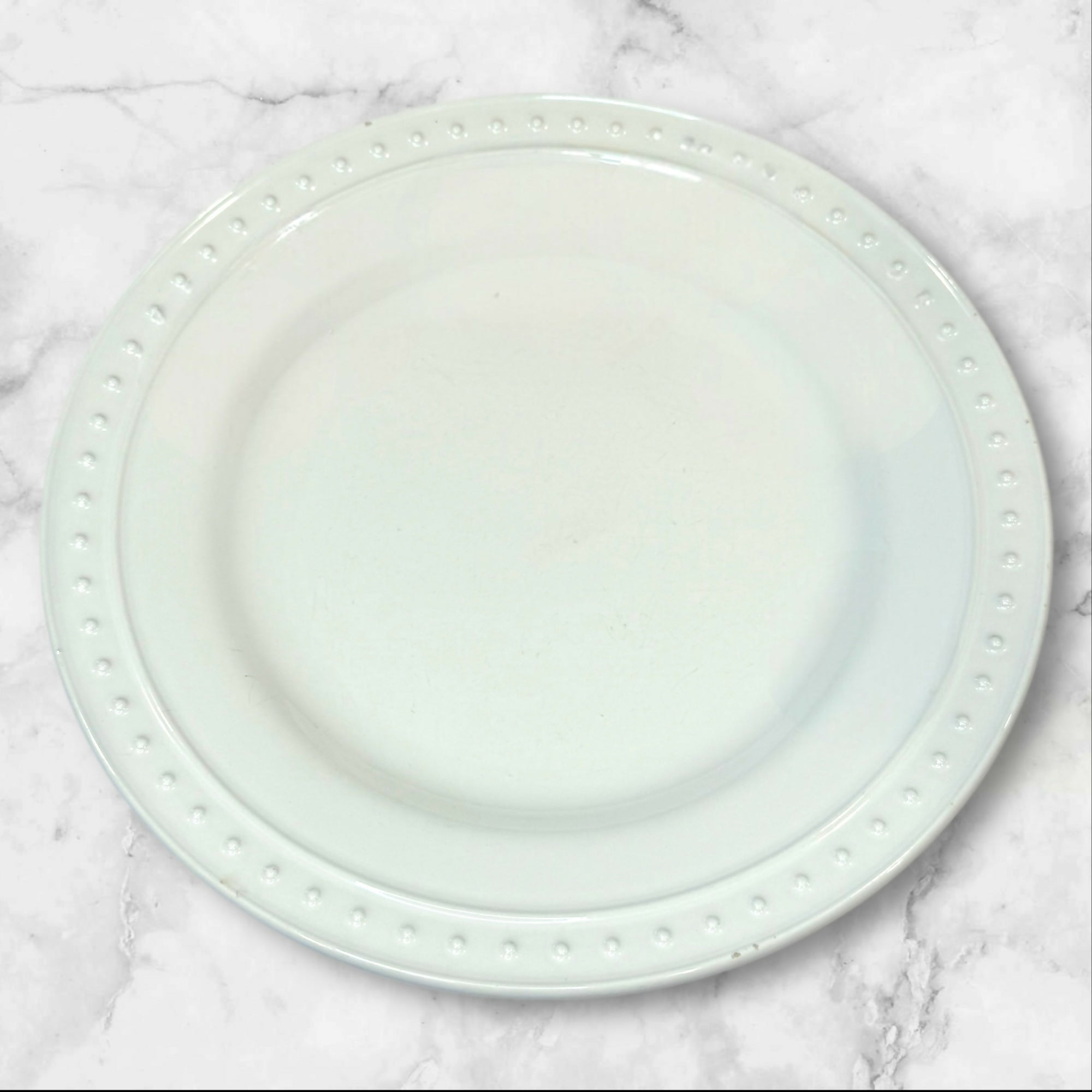 World Market Nantucket Dinner Plates | Set of 6 | Good Condition
