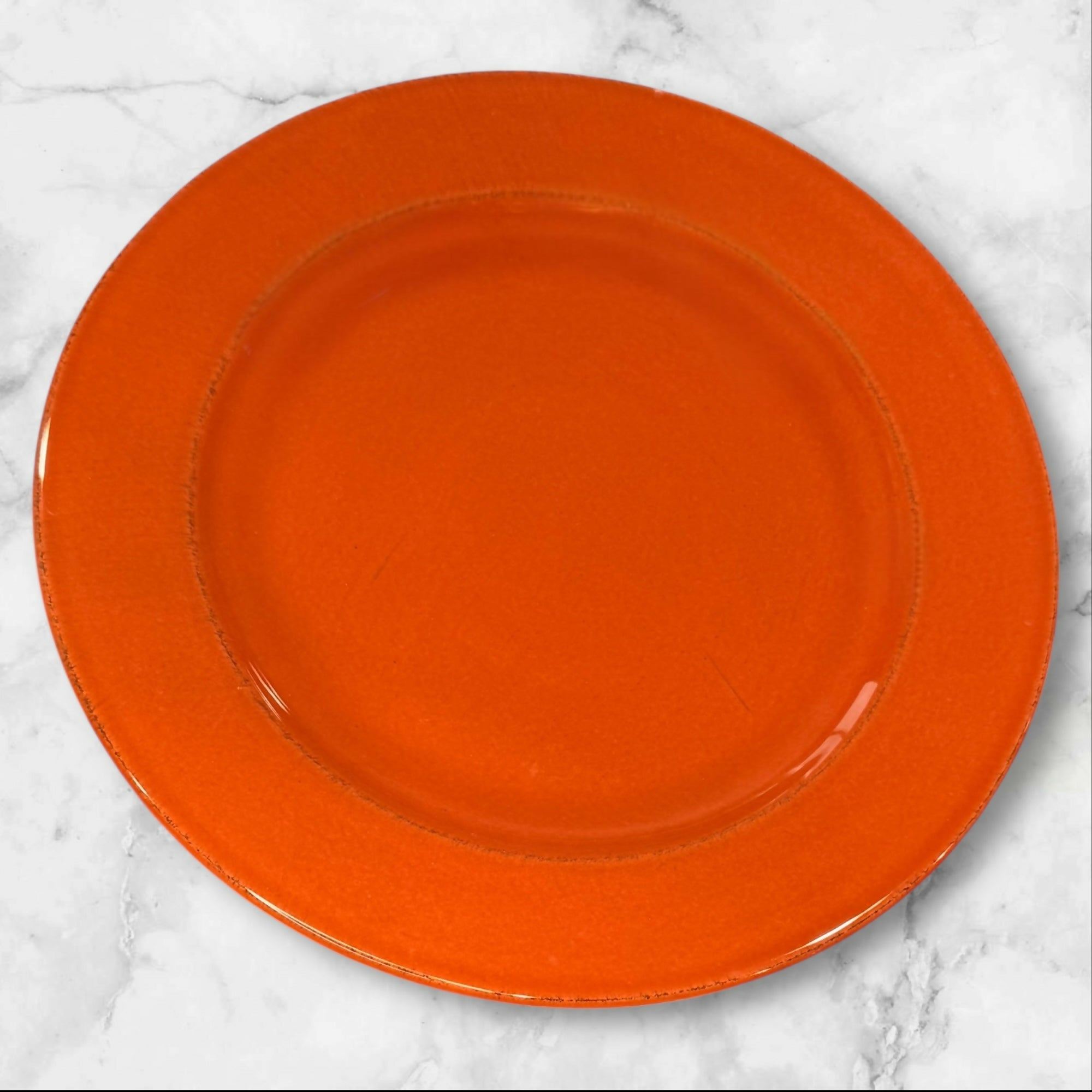 Pier 1 Toscana Terracotta Dinner Plates Set of 2 | Excellent Condition