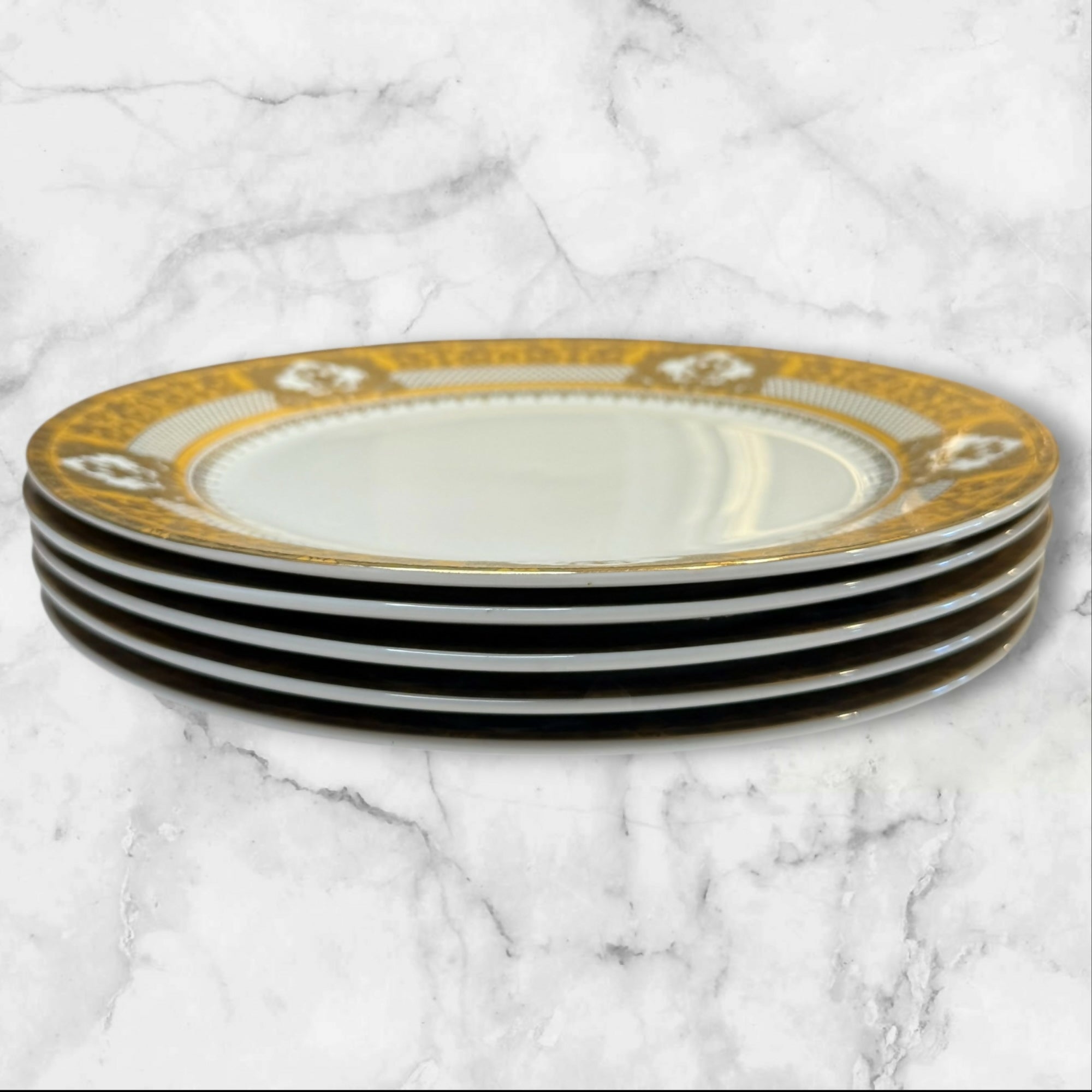 Highgate Manor Contessa Dinner Plates | Set of 5 | Excellent Condition