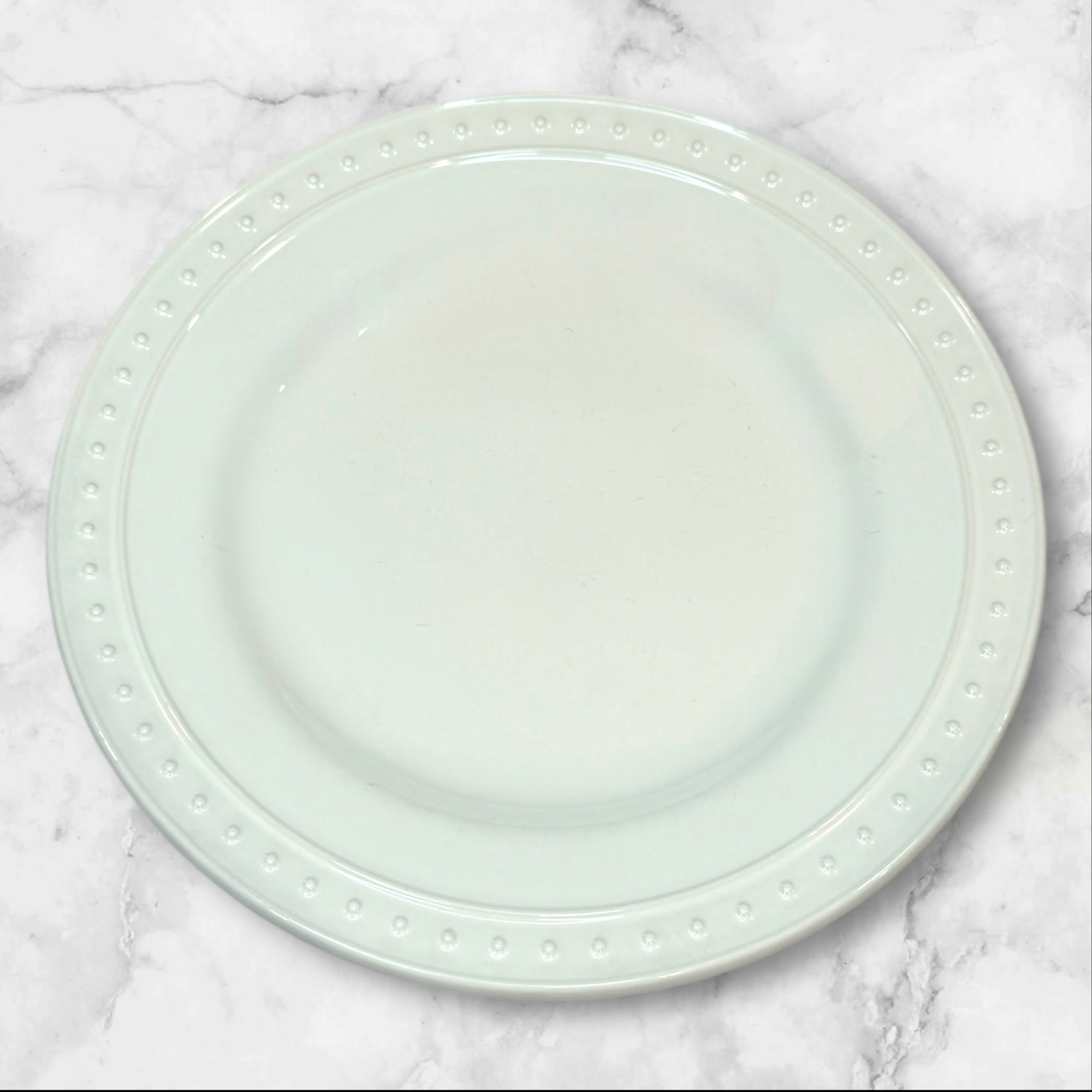World Market Nantucket Dinner Plates | Set of 6 | Good Condition