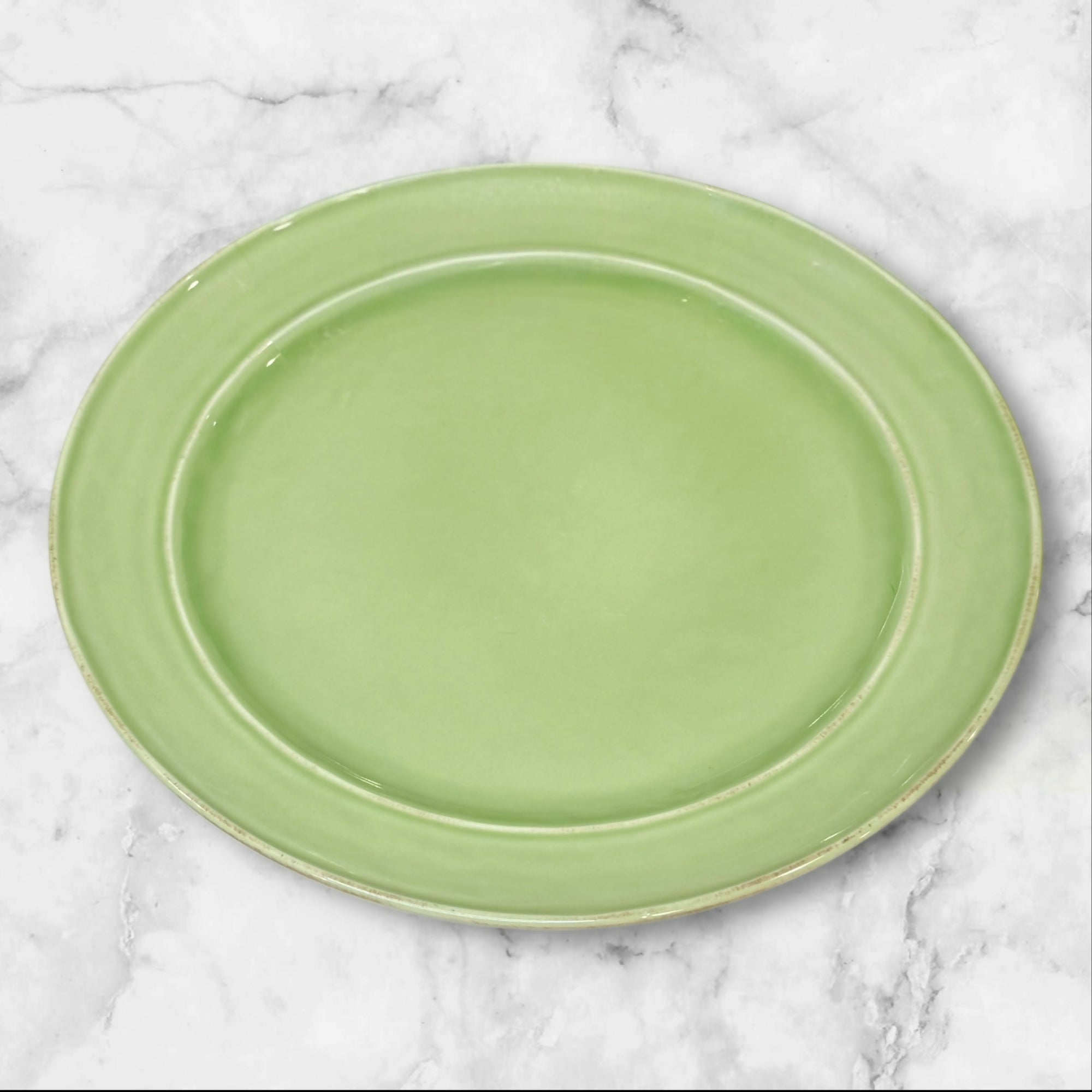 Pottery Barn Cambria Mint Dinner Plates | Set of 2 | Excellent Condition X