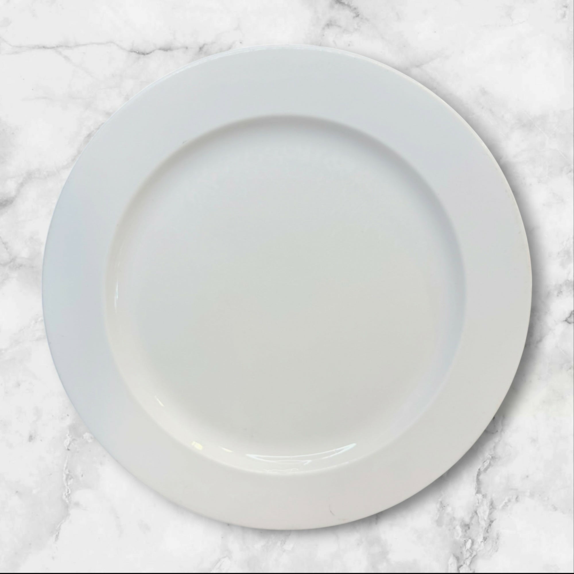 Steelite International England White Dinner Plates | Set of 4 | Good Condition
