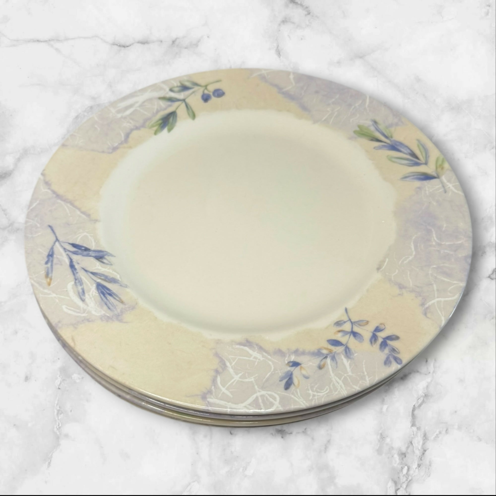 222 Fifth Torn Paper Dinner Plates | Set of 4 | Floral Stoneware | Great Condition