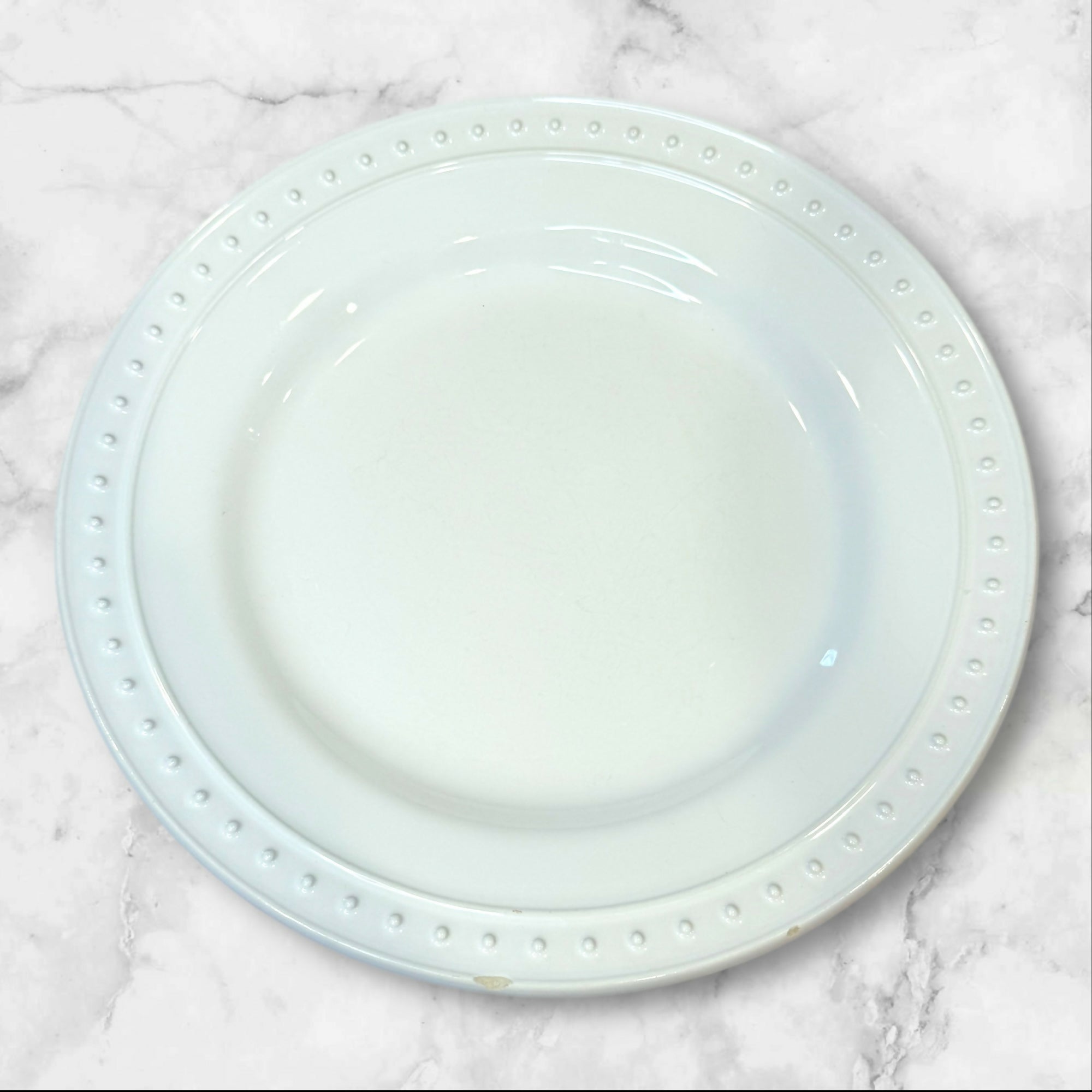 World Market Nantucket Dinner Plates | Set of 6 | Good Condition