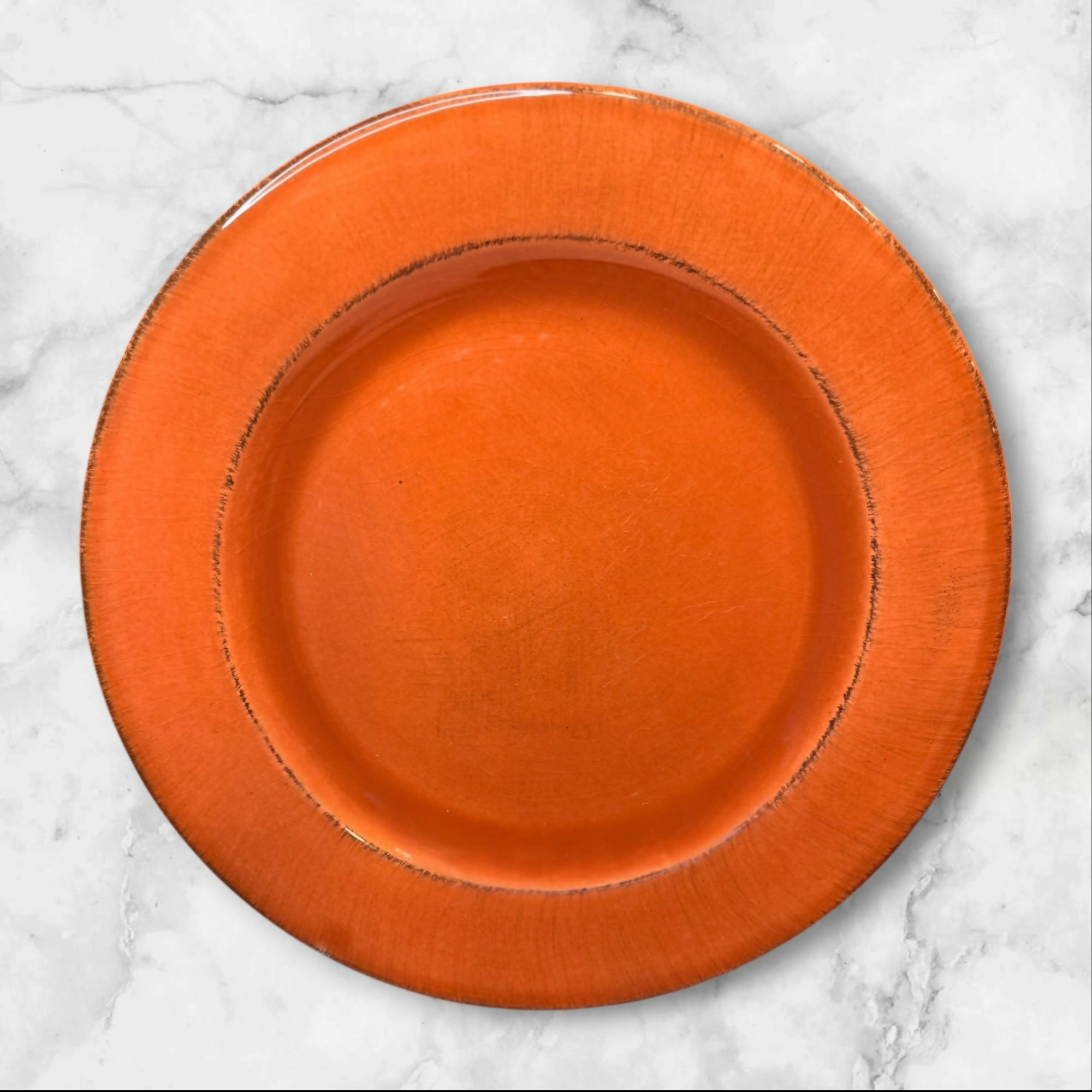 Pier 1 Toscana Terracotta Dinner Plates Made in Italy | Set of 4 | Good Condition