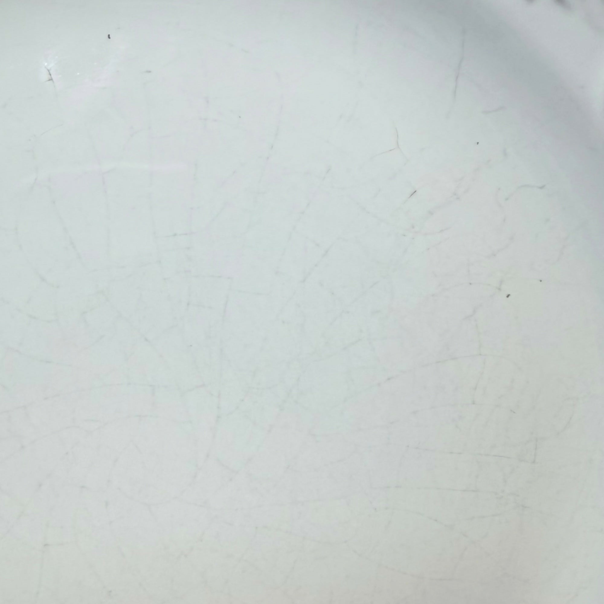 World Market White Provencal Dinner Plates | Gently Used Set of 5