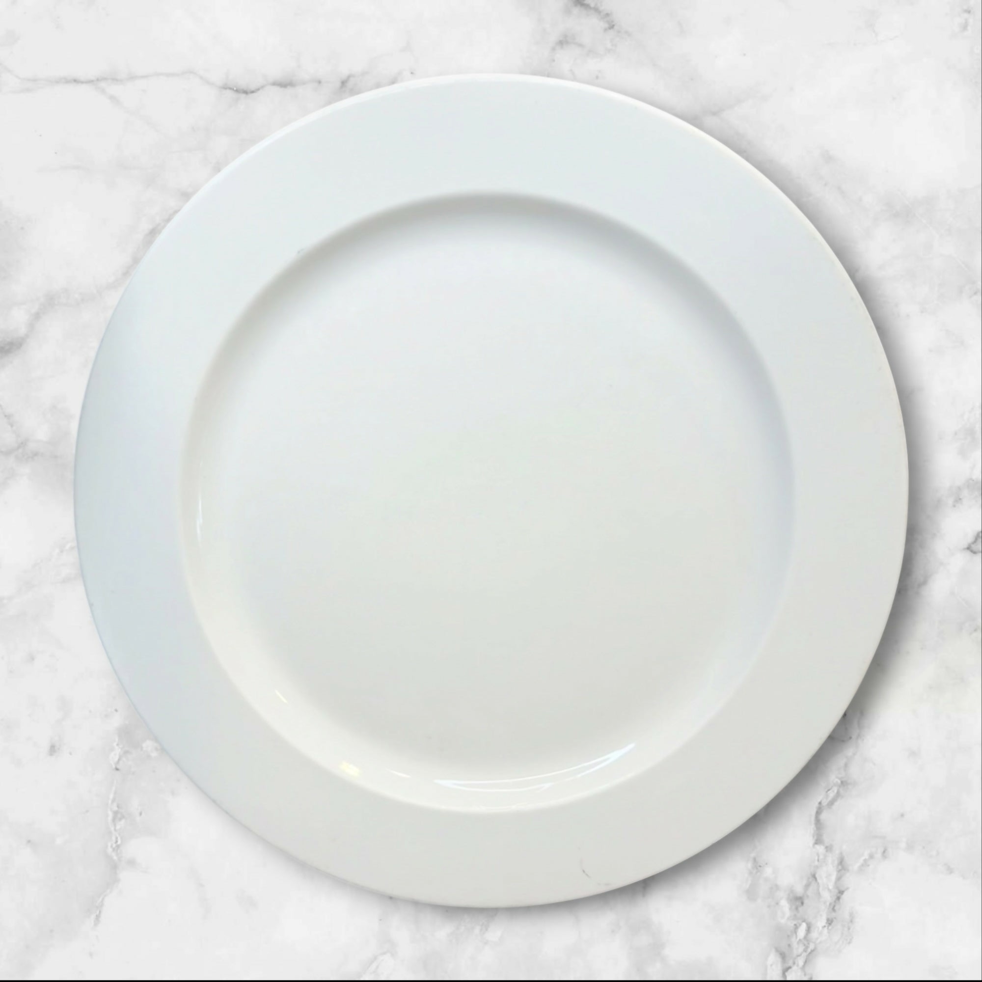 Steelite International England White Dinner Plates | Set of 4 | Good Condition