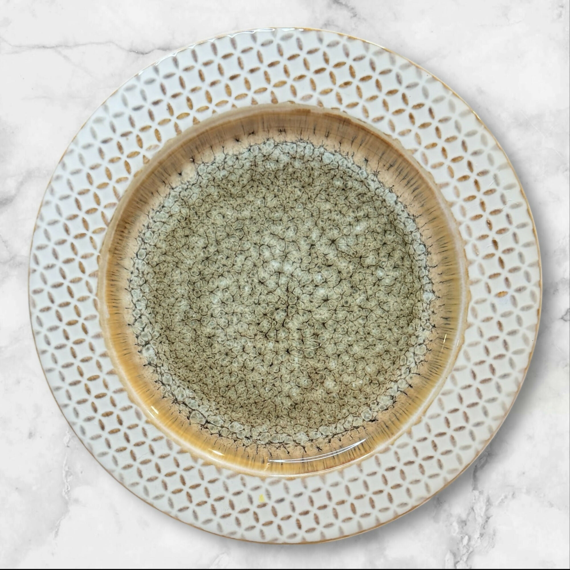 American Atelier Piper Dinner Plates Set of 4 Stoneware 10.75”