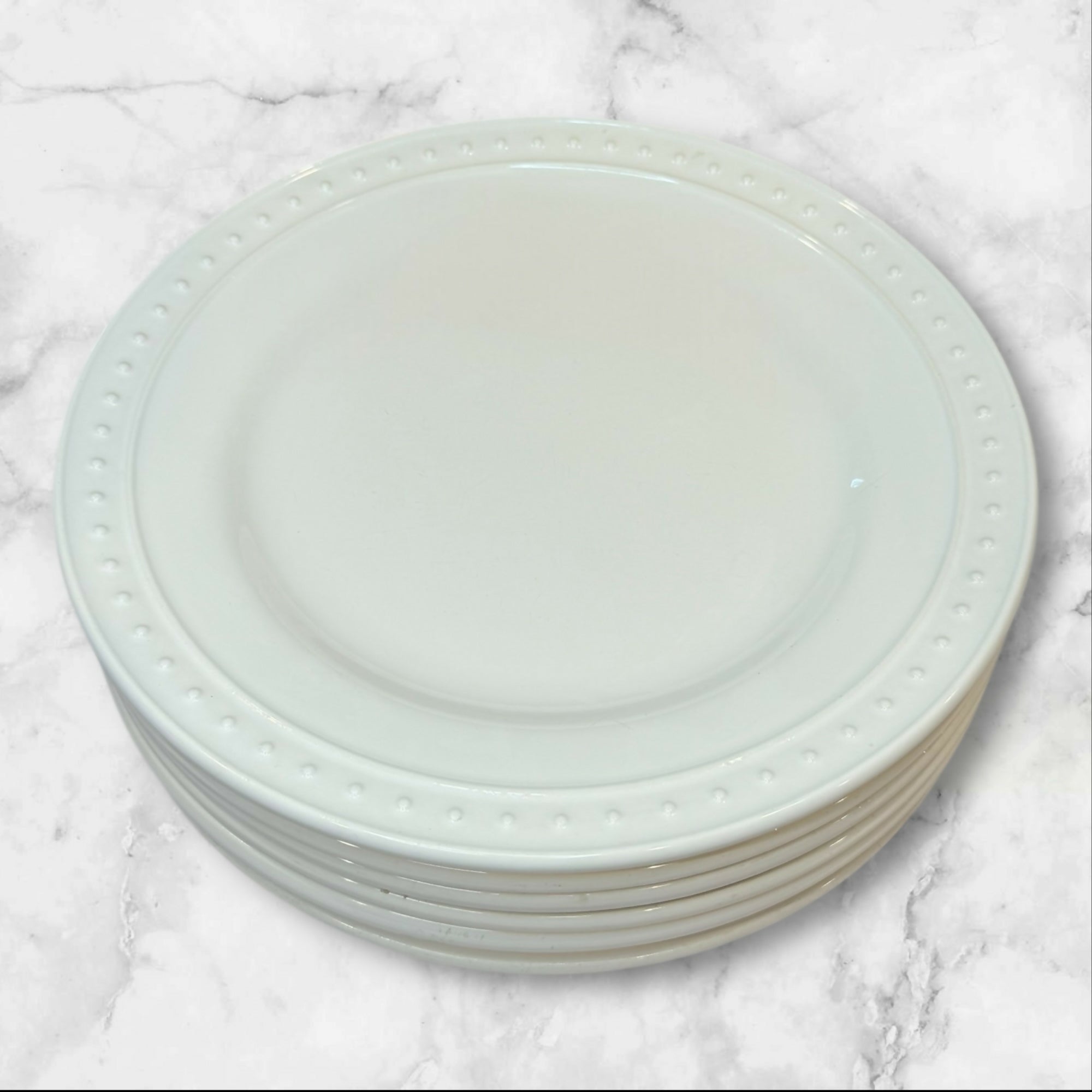 World Market Nantucket Dinner Plates | Set of 6 | Good Condition