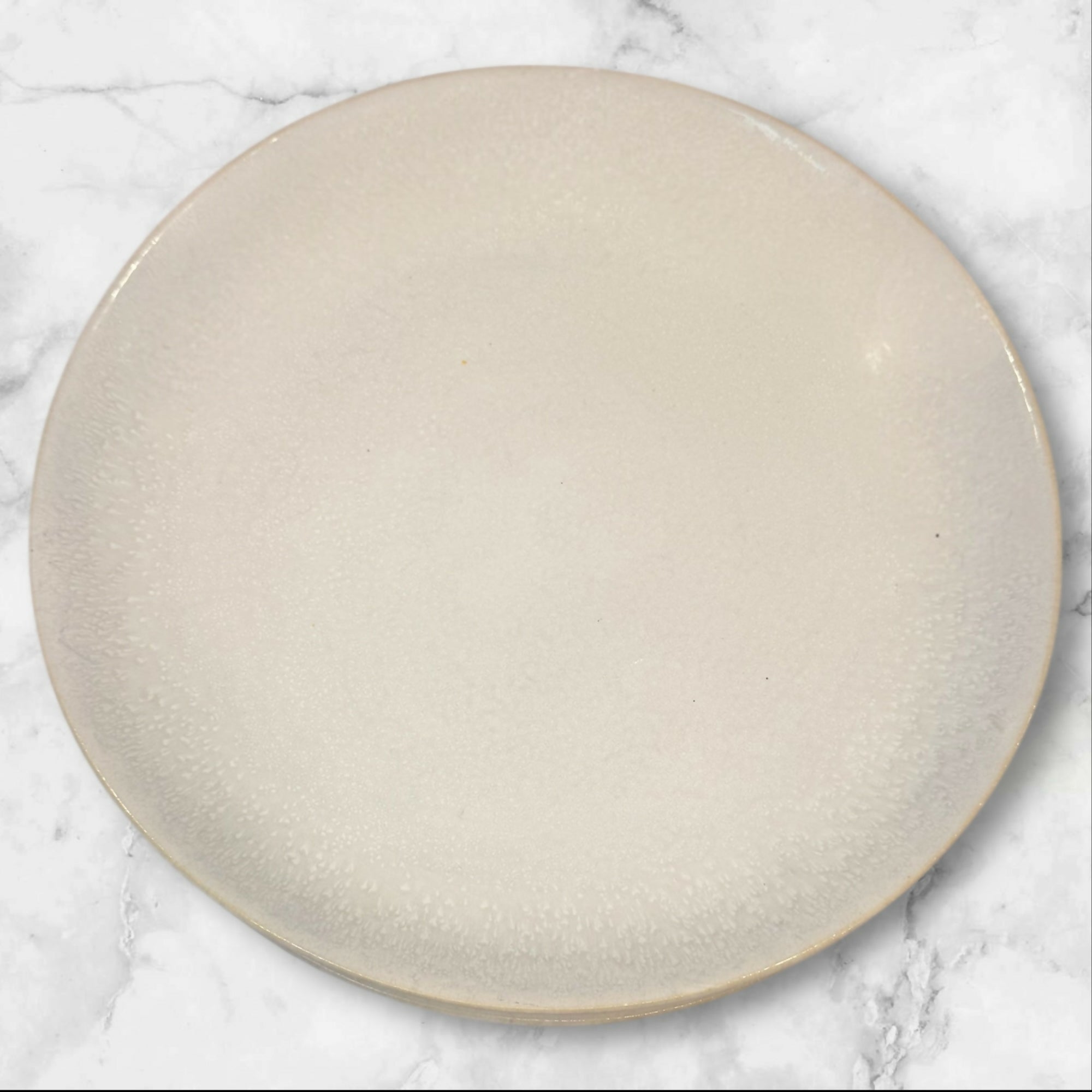 Williams Sonoma Cyprus Reactive Glaze Dinner Plates | Set of 4 | Excellent