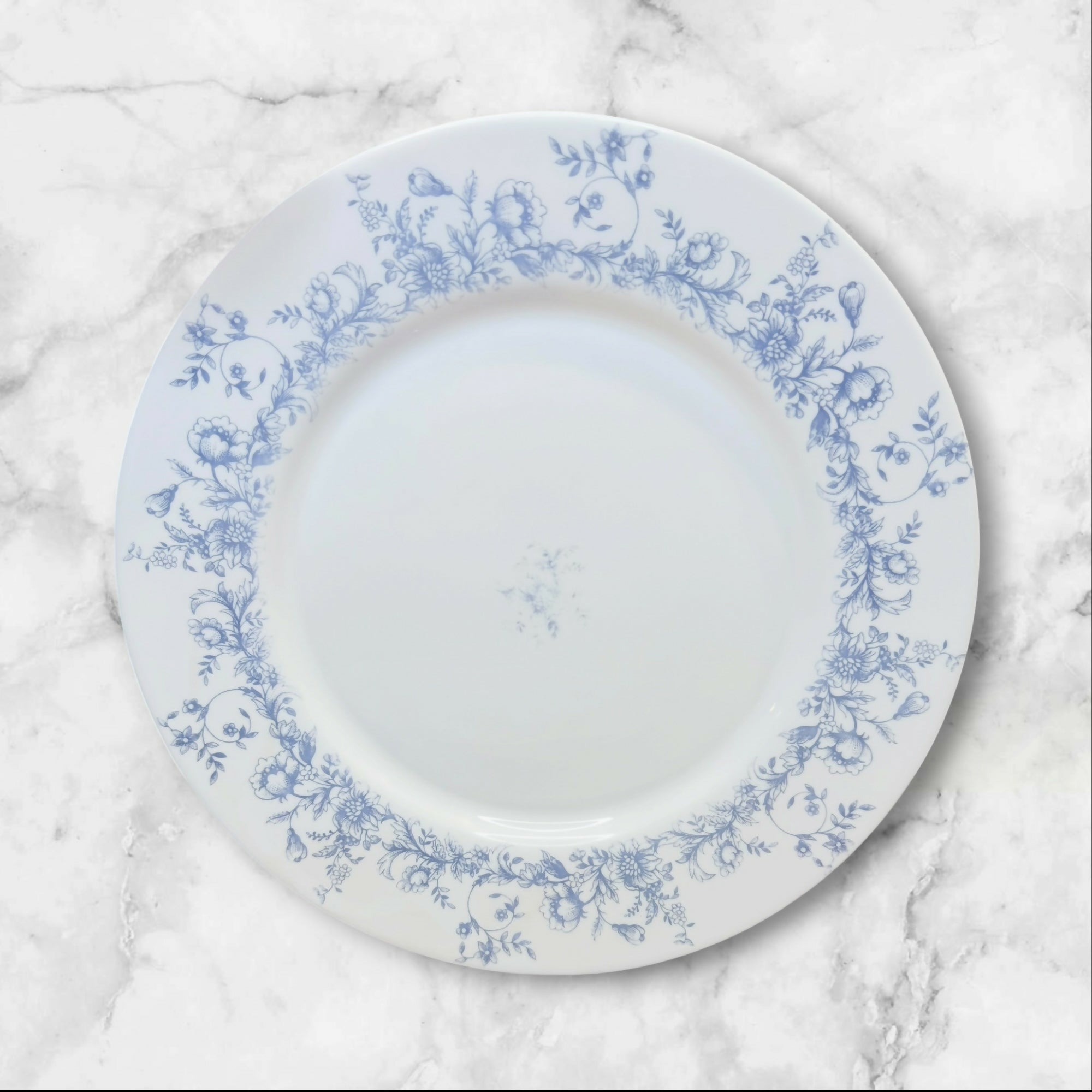 Arcopal Glenwood Dinner Plates Set of 4 Blue Floral Vintage Good Condition