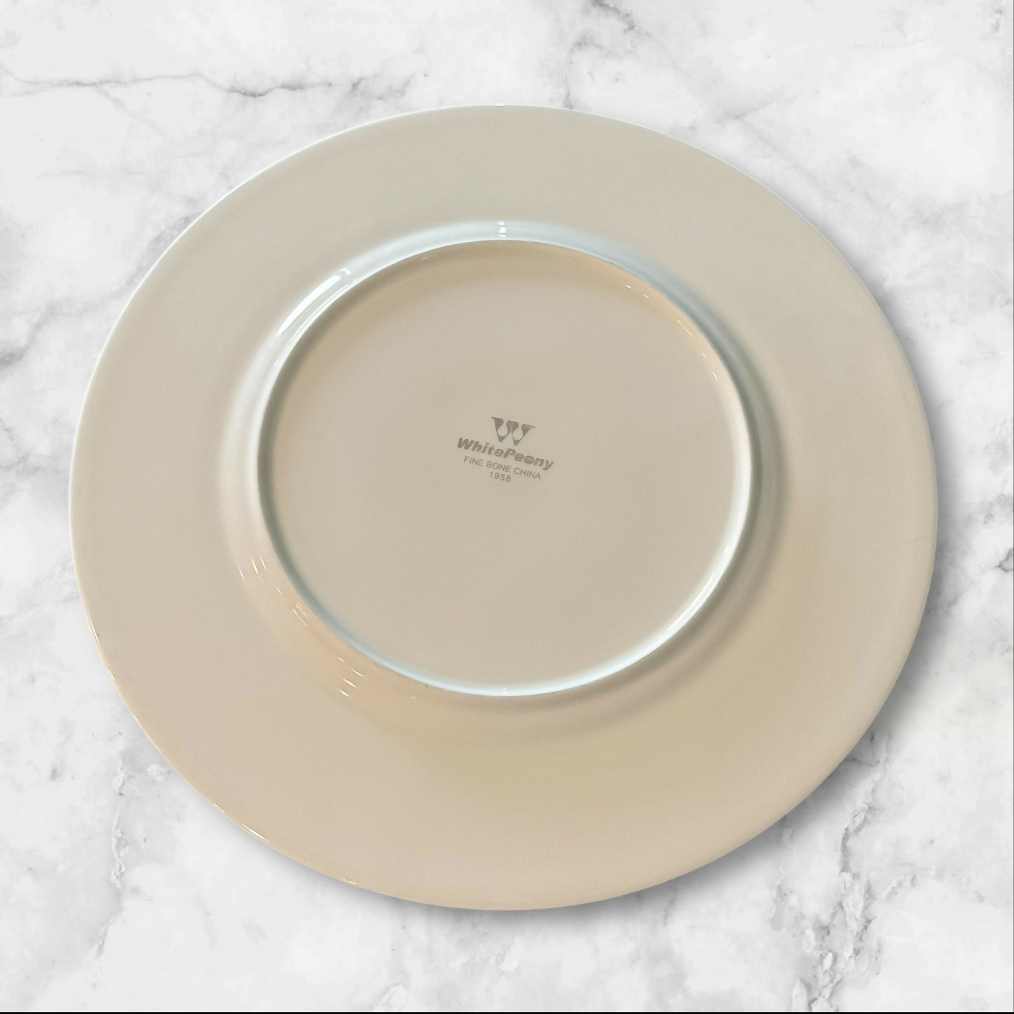 WhitePeony Fine Bone China Dinner Plates 10.75” | Set of 9 | Gently Used