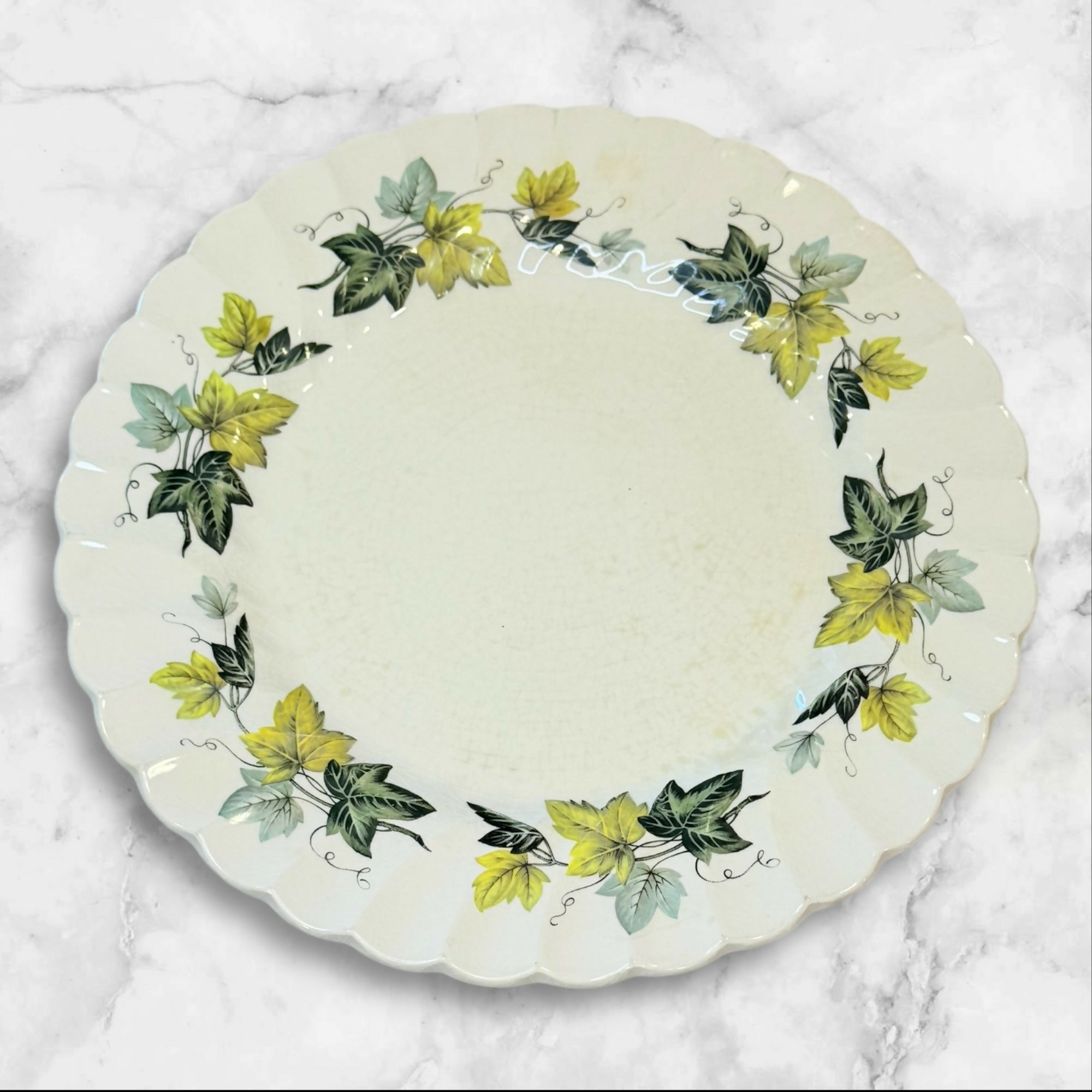 Myott Staffordshire Evergreen Dinner Plates | Set of 7 | Vintage