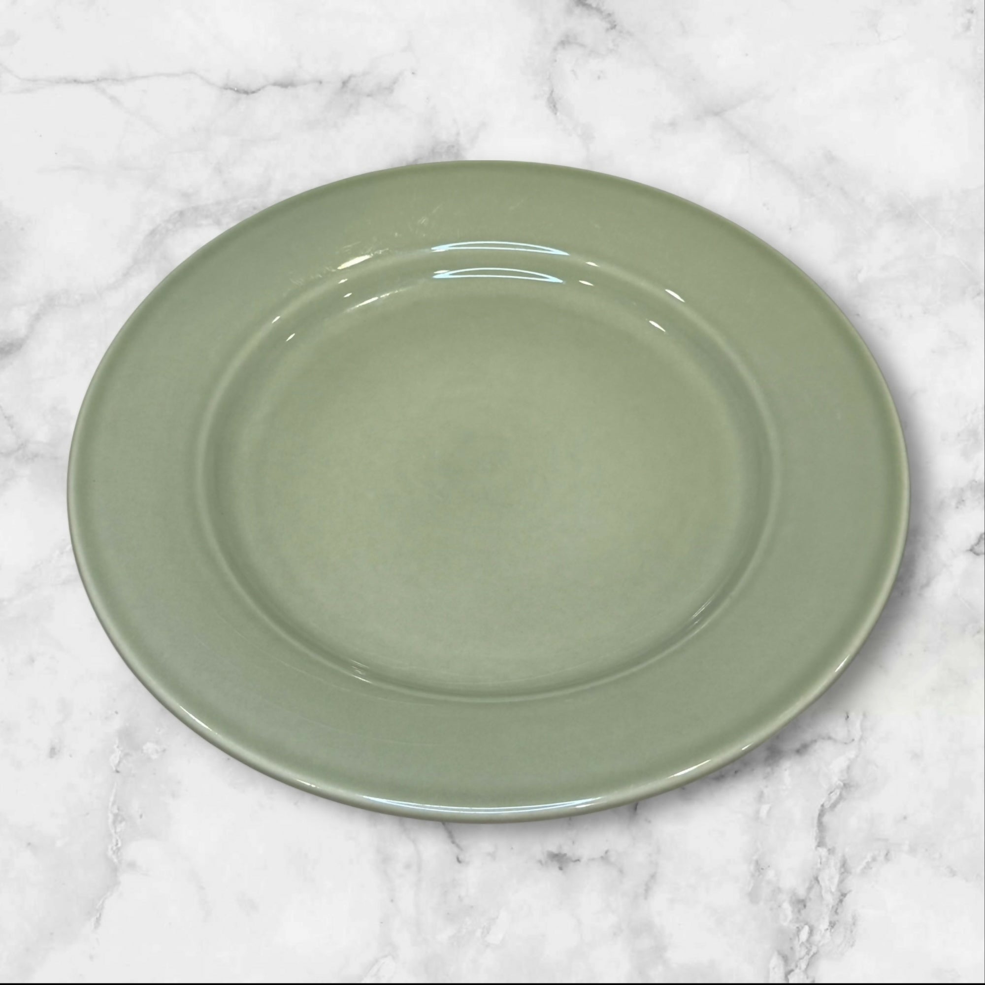 Williams Sonoma Belvedere Sage Dinner Plates | Set of 4 | Great Condition