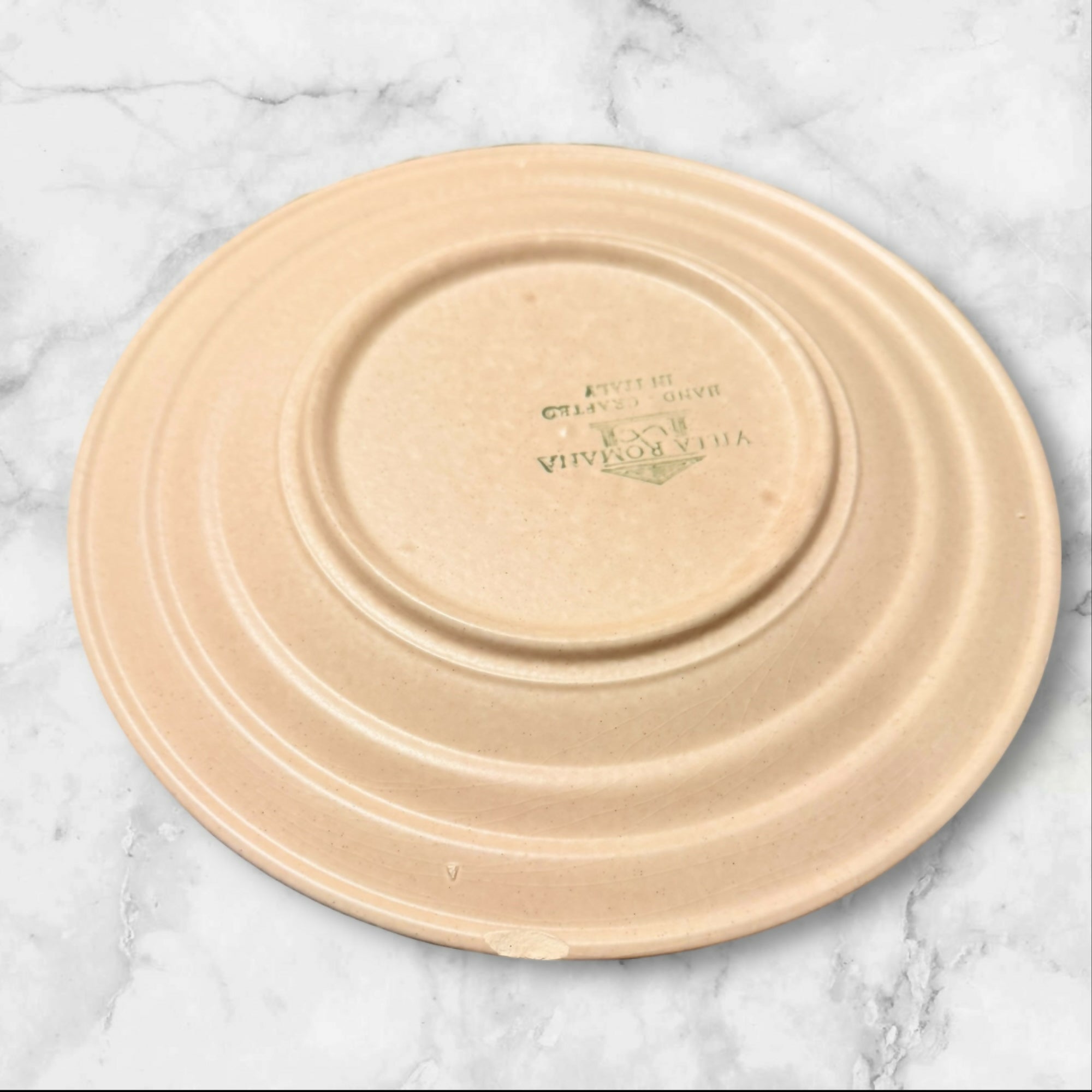 Villa Romana Speckled Stoneware Dinner Plates | Set of 4 | Gently Used