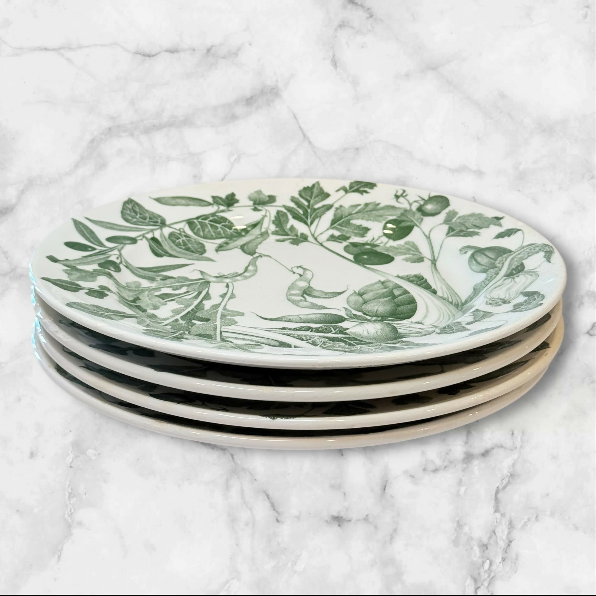 Primula Crate & Barrel Botanical Dinner Plates | Set of 4 | Good Condition