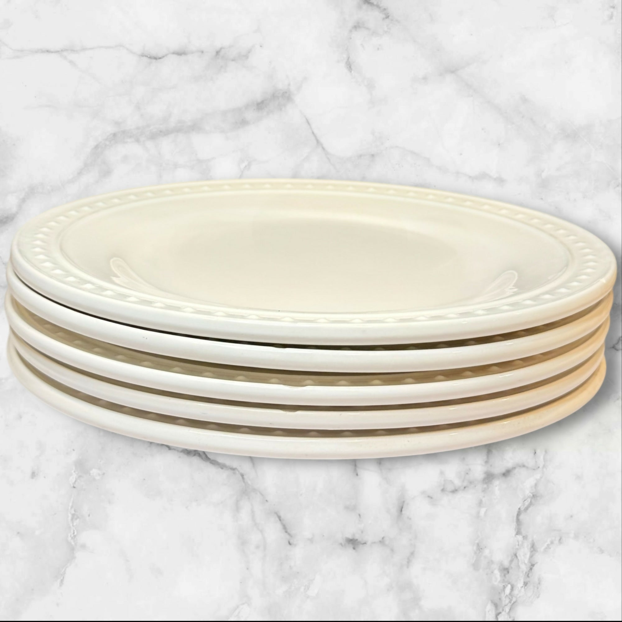 World Market Nantucket Dinner Plates | Set of 5 | Great Condition