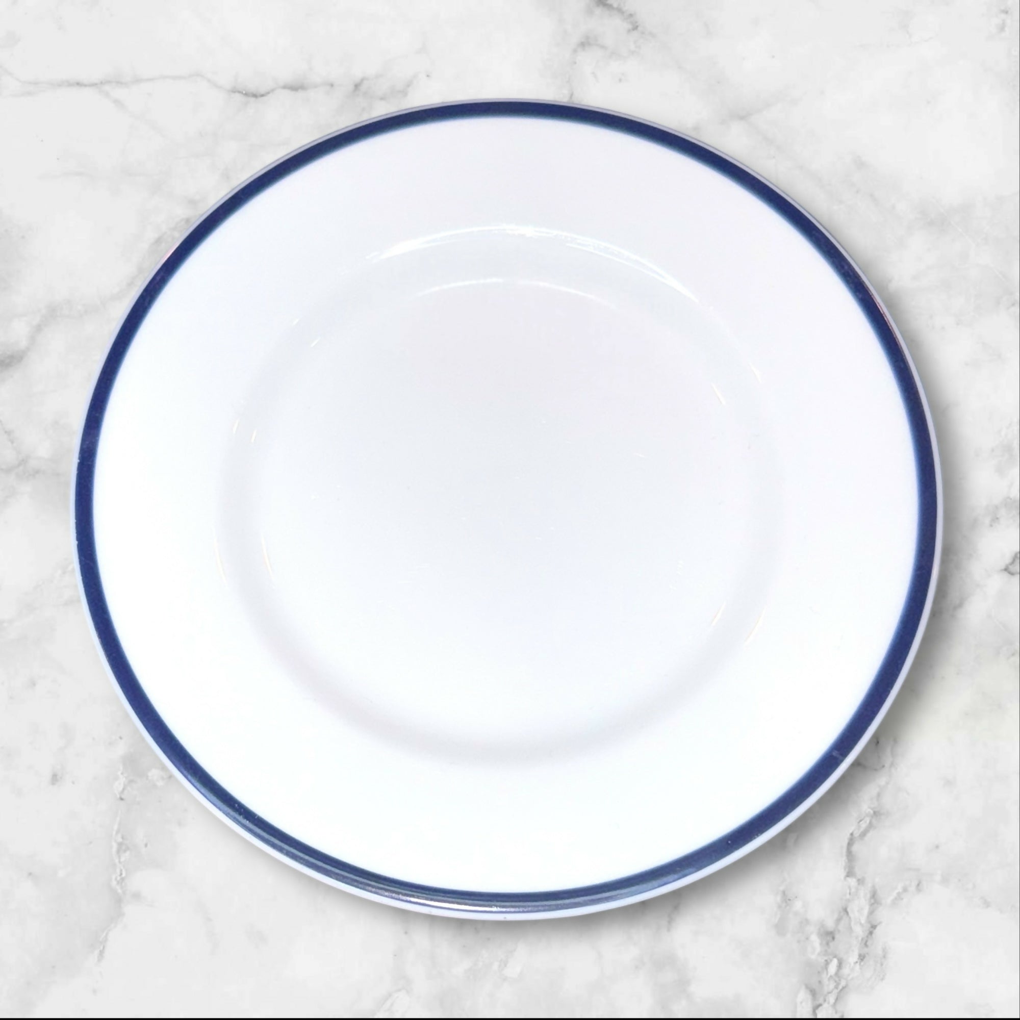 Crate & Barrel Cape Cod Bleu Bread & Butter Plates | Set of 4 | Excellent Condition