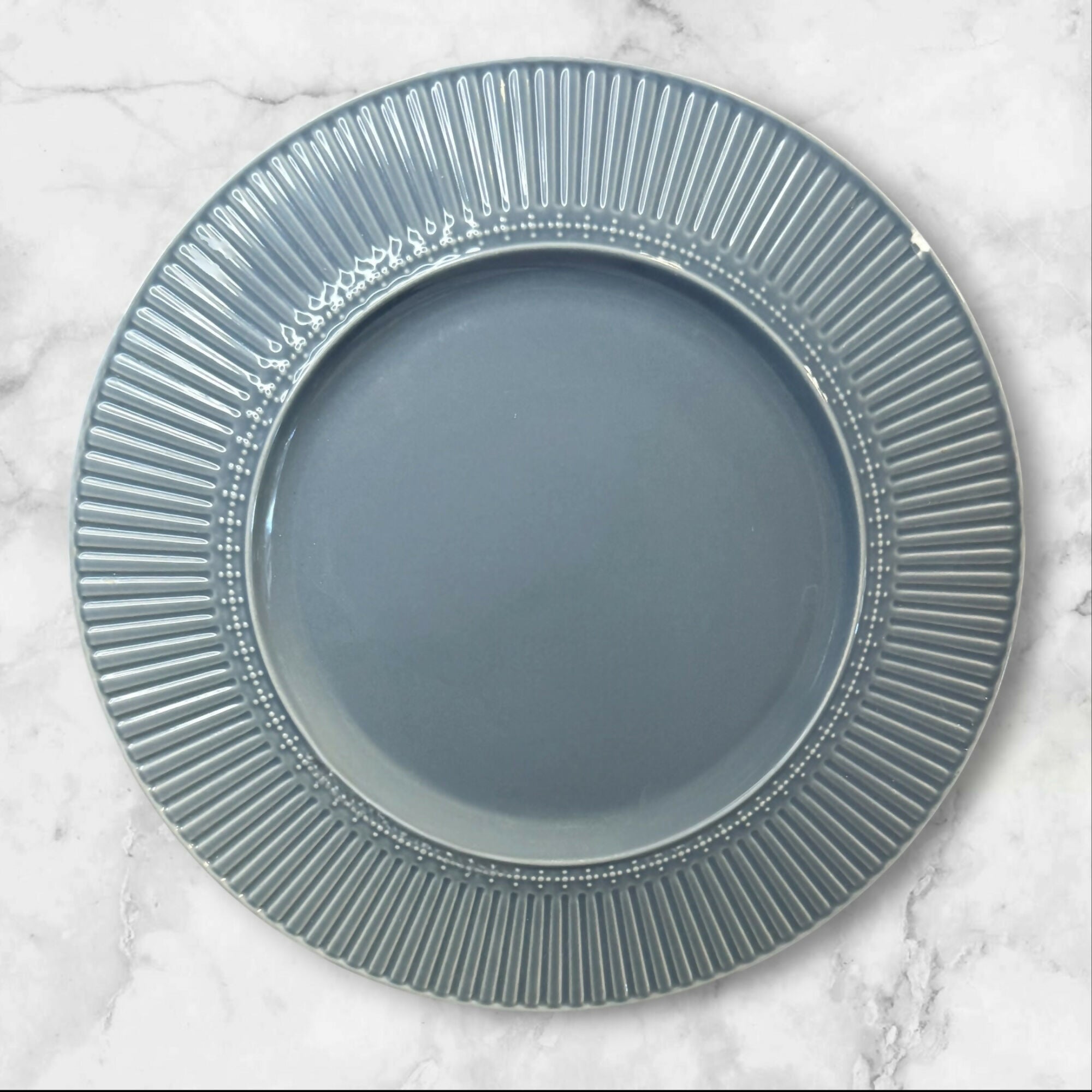 Mikasa Italian Countryside Accents Blue Dinner Plates Set of 4 | Gently Used
