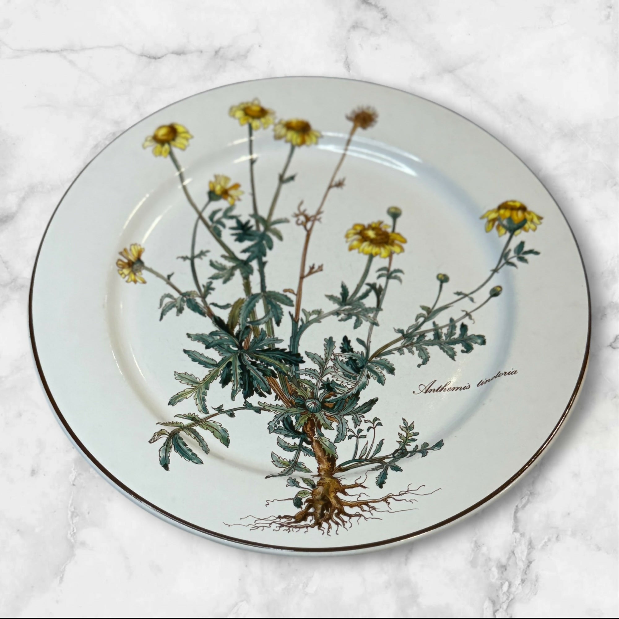 Villeroy & Boch Botanica Salad Plates Set of 4 | Great Condition