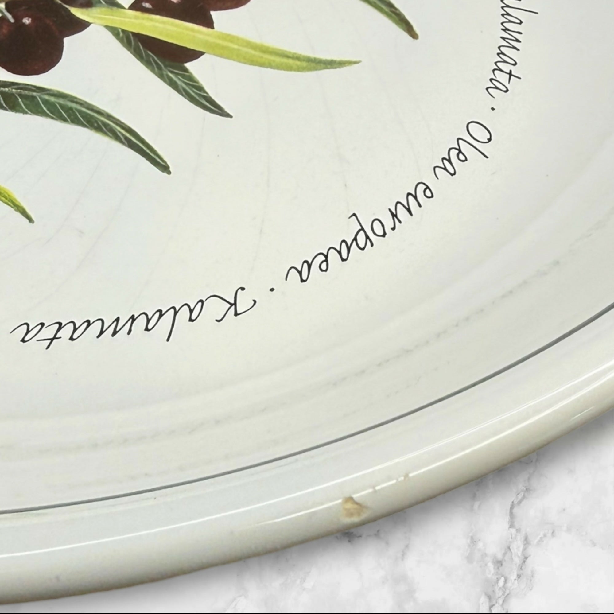 Williams Sonoma WSO20 Olive Pasta Bowls | Set of 4 | Great Condition