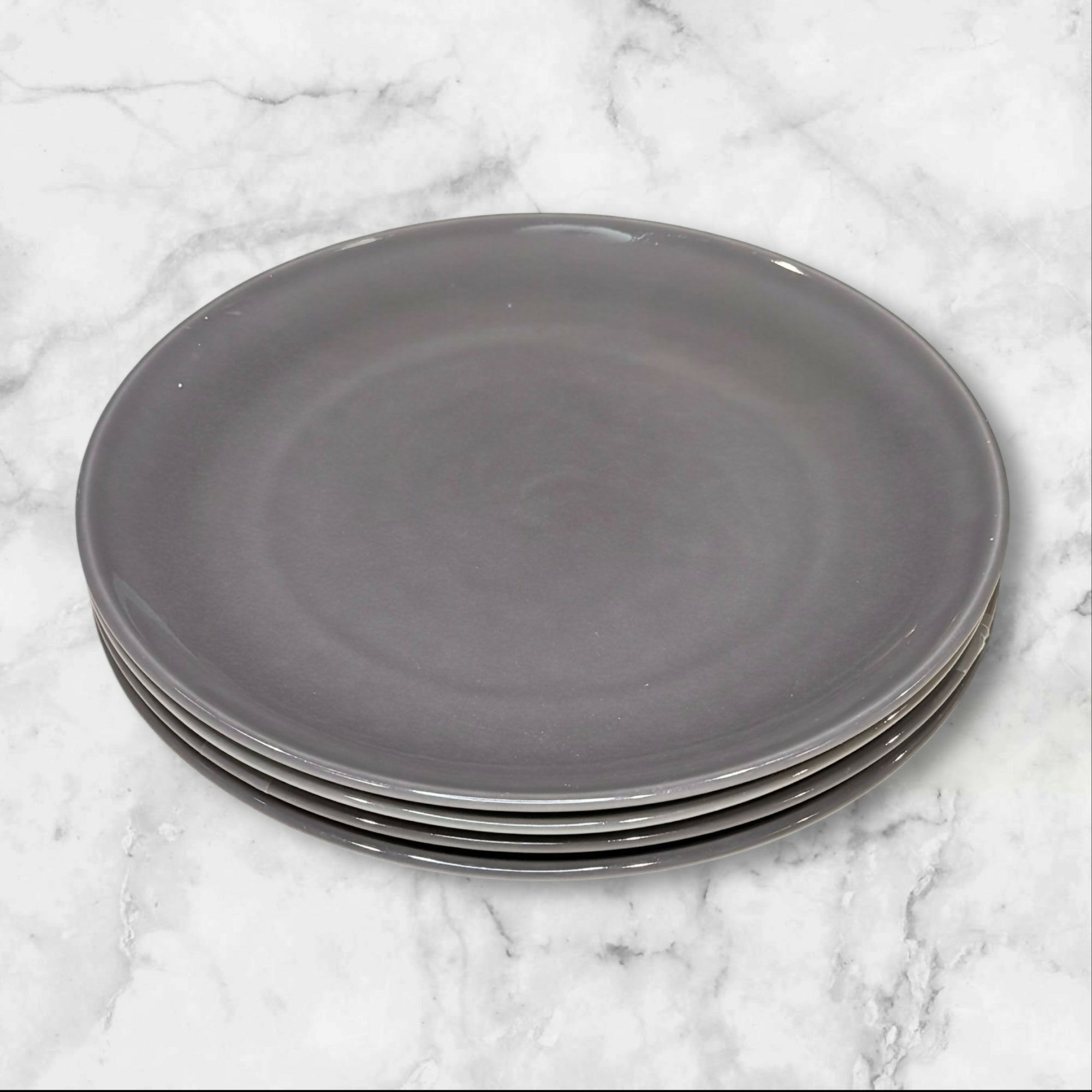 Williams Sonoma Pacifica Gray Dinner Plates | Set of 2 | 10 5/8” | Good Condition