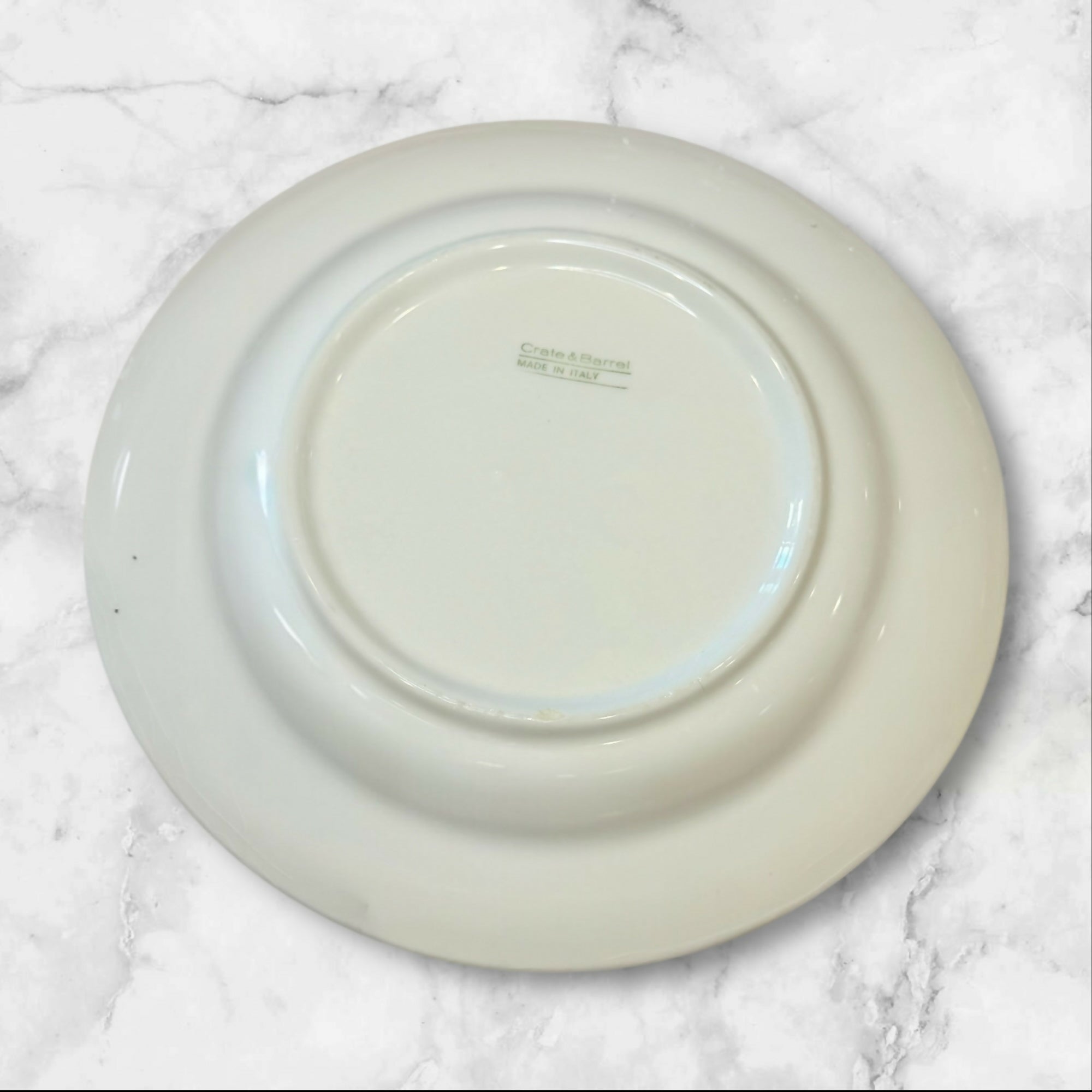Primula Crate & Barrel Botanical Dinner Plates | Set of 4 | Good Condition