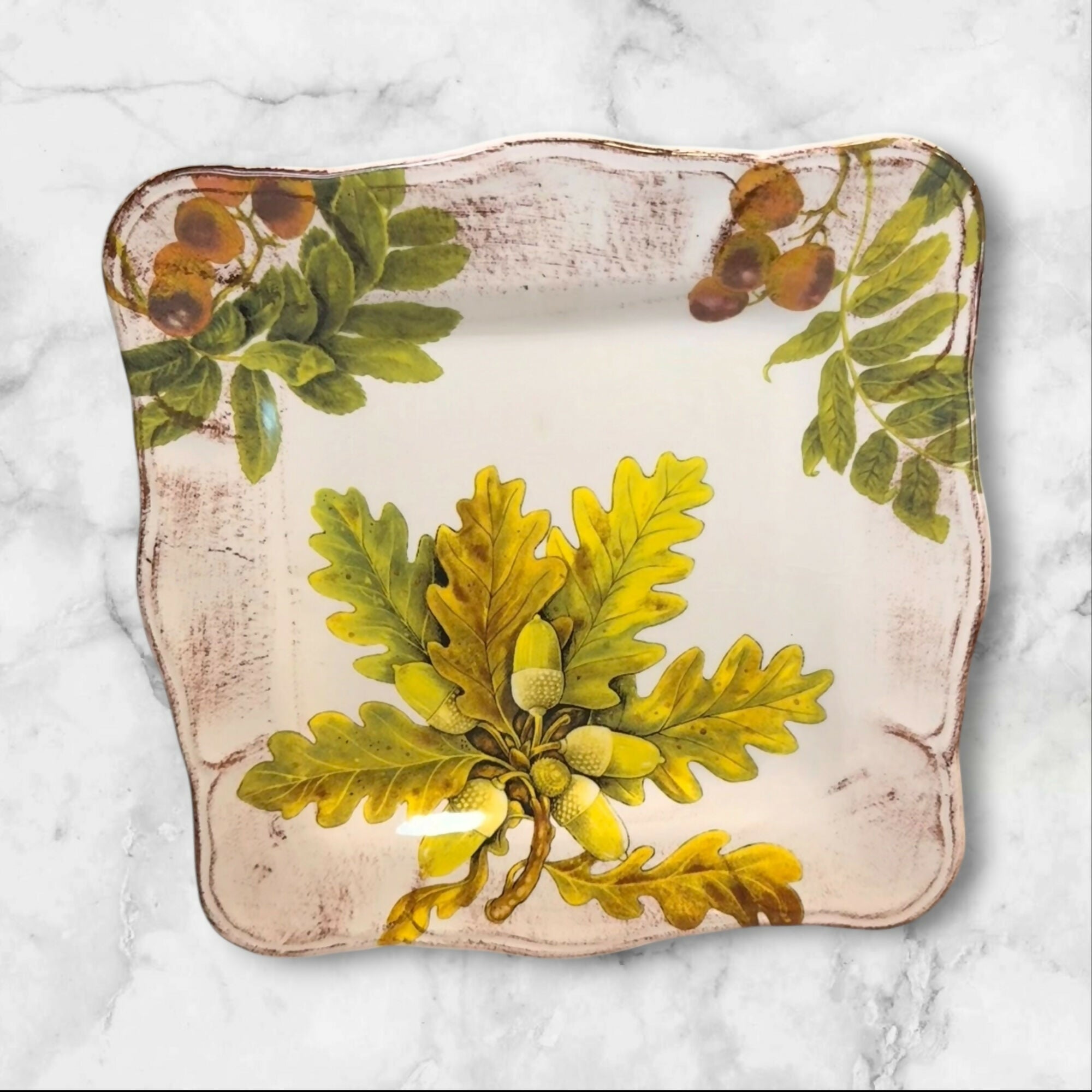 Sur La Table Acorn & Fig Square Luncheon Plates | Set of 5 | Excellent Condition