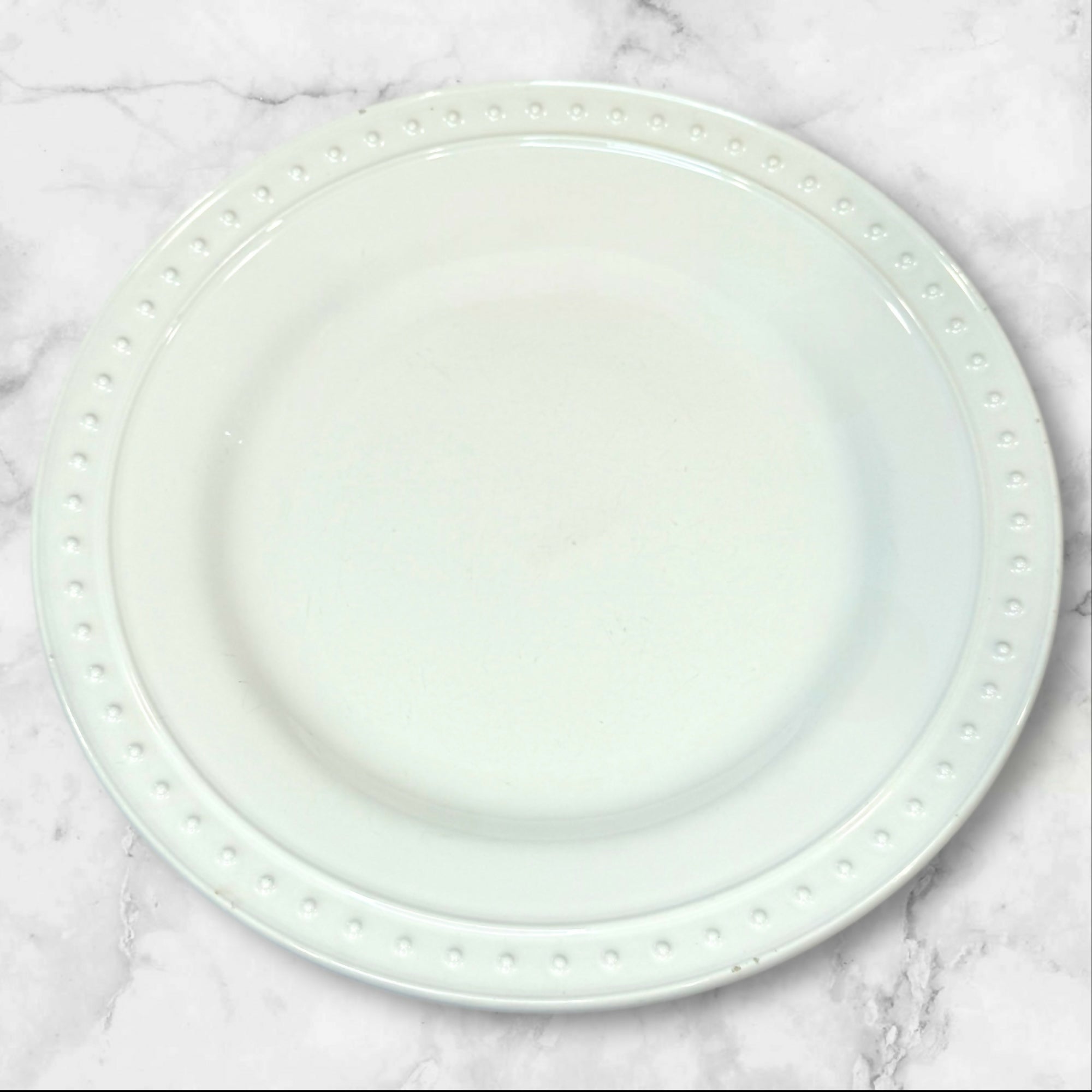 World Market Nantucket Dinner Plates | Set of 6 | Good Condition