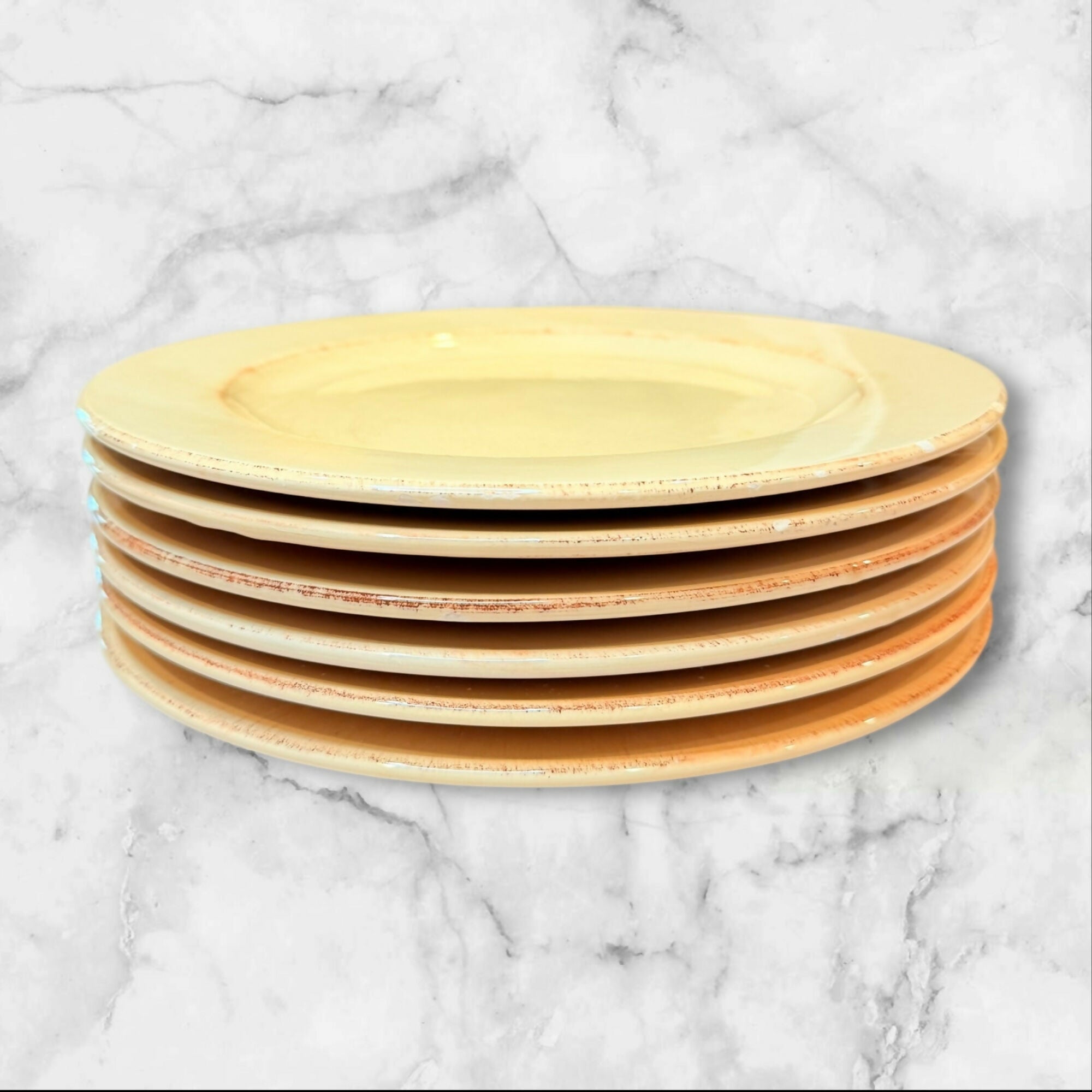 Pier 1 Toscana Ivory Dinner Plates | Set of 6 | Good Condition