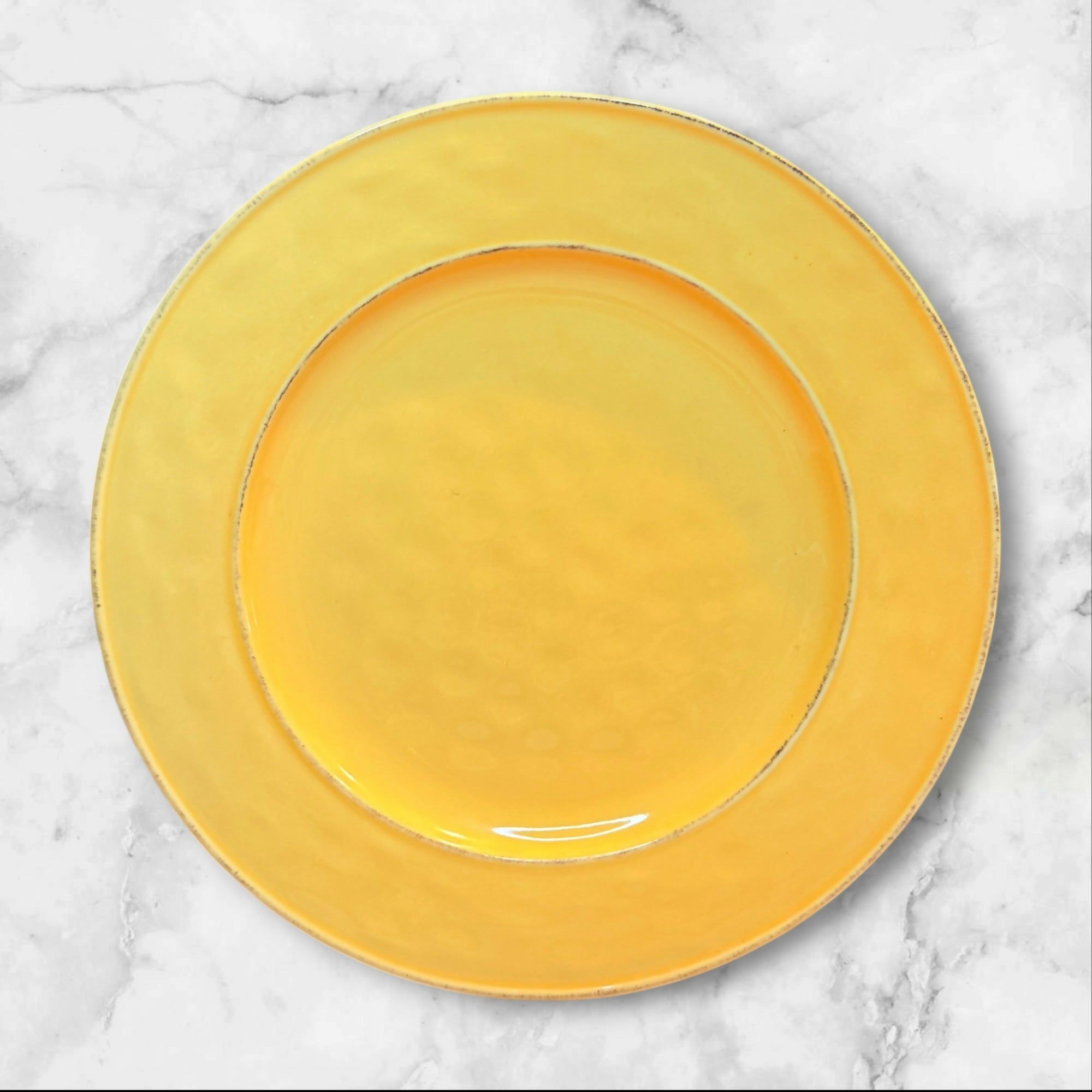 Pier 1 Mango Yellow Dinner Plates Set of 4 Stoneware | Gently Used
