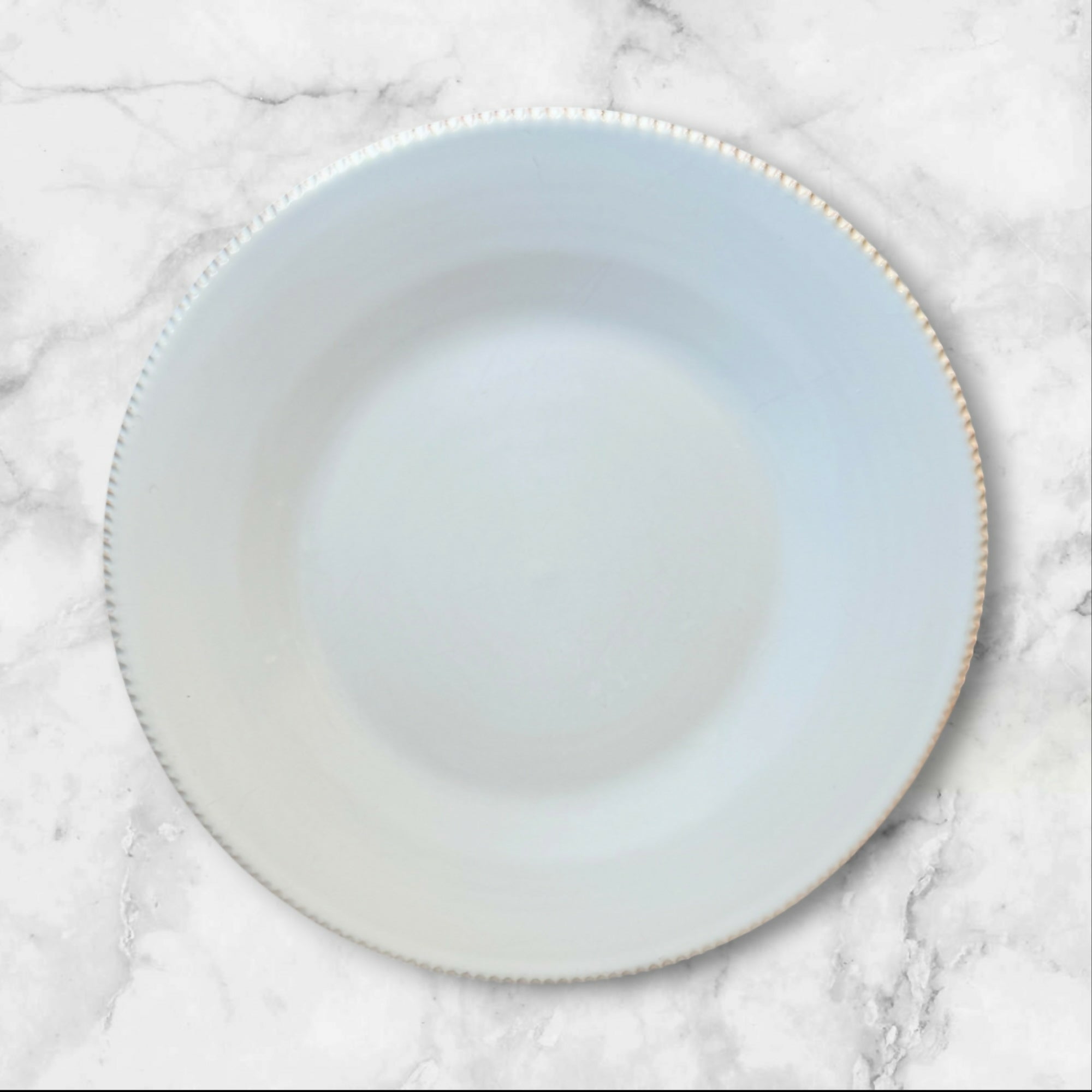 Pottery Barn Pottery Barn Gabriella Dinner Plates | Set of 4 | Great Used Condition