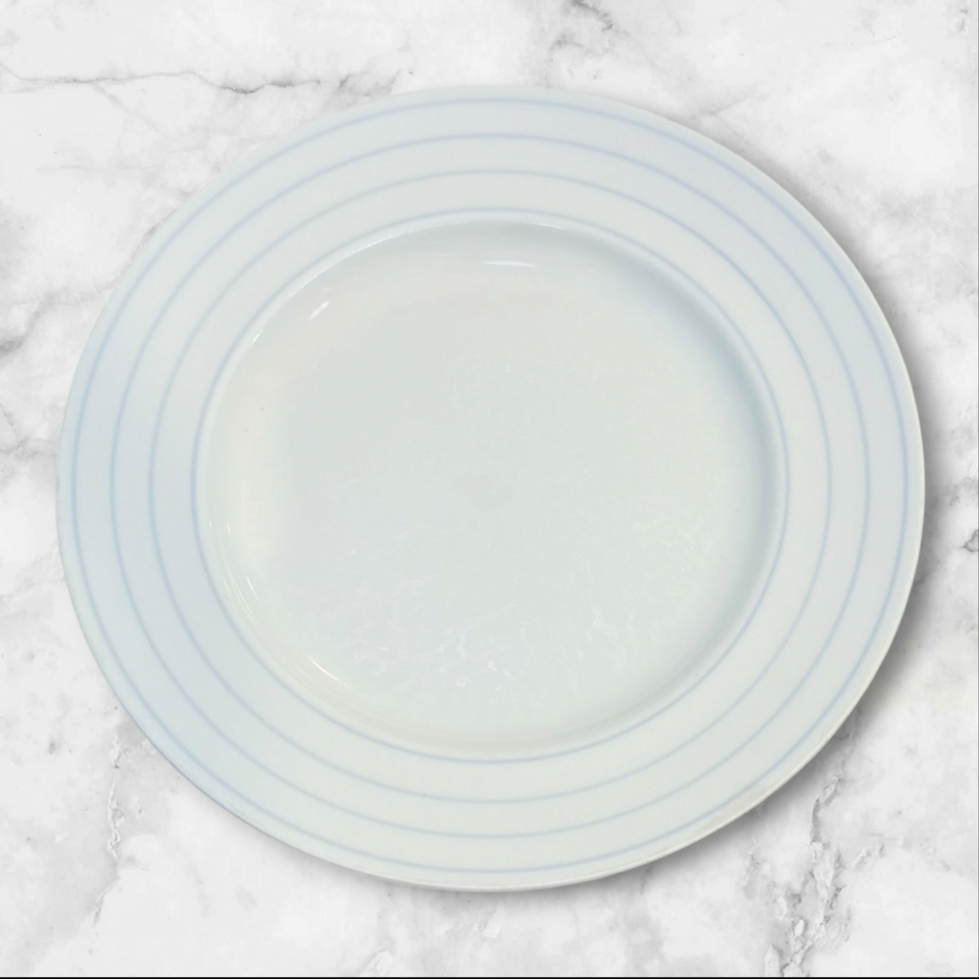 Crate & Barrel Jace Porcelain Dinner Plates | Set of 6 | Gently Used