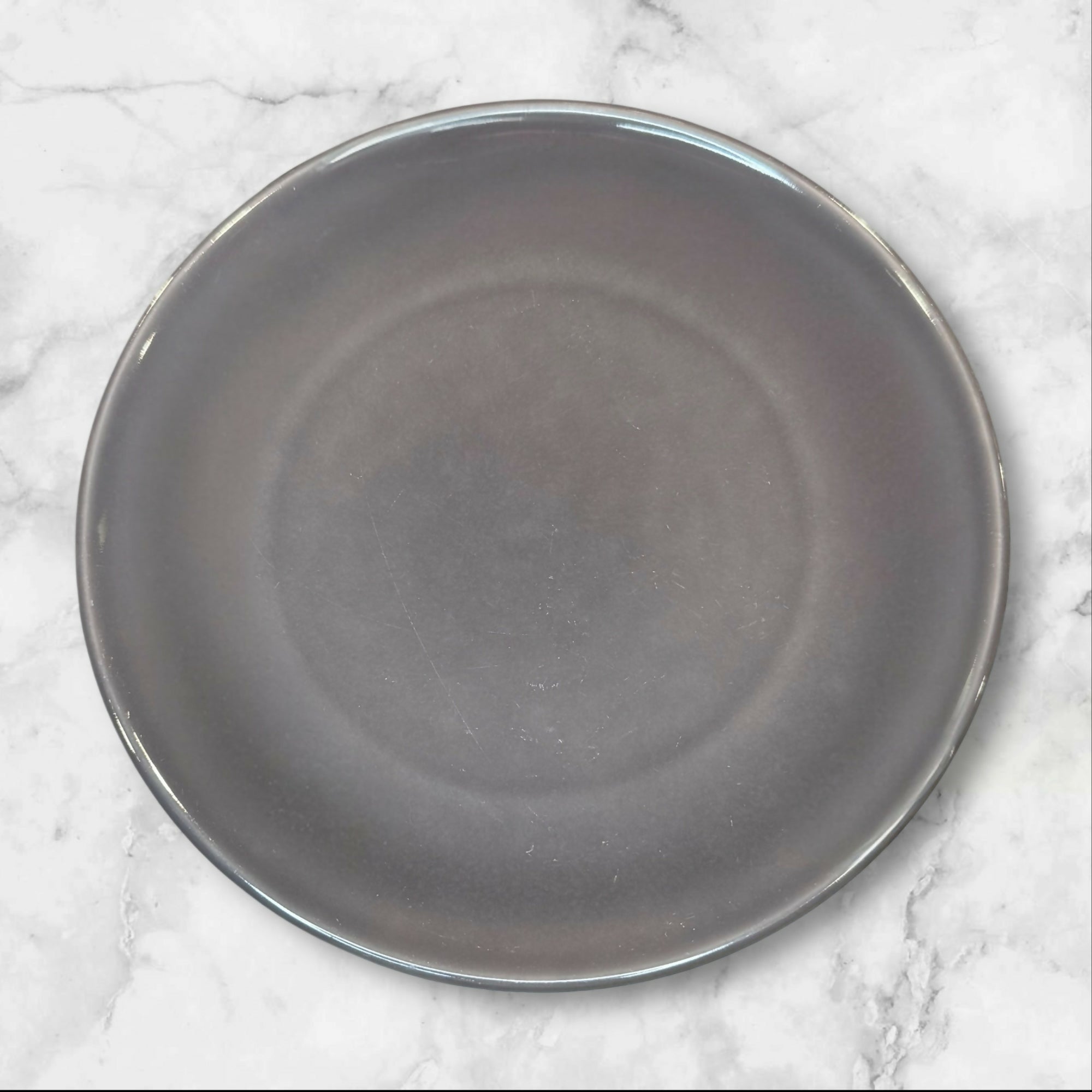 Williams Sonoma Pacifica Gray Dinner Plates | Set of 2 | 10 5/8” | Good Condition