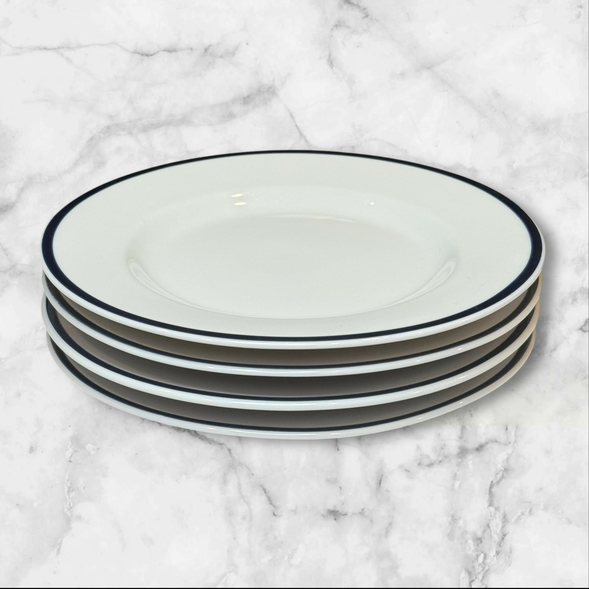 Crate & Barrel Cape Cod Bleu Bread & Butter Plates | Set of 4 | Excellent Condition