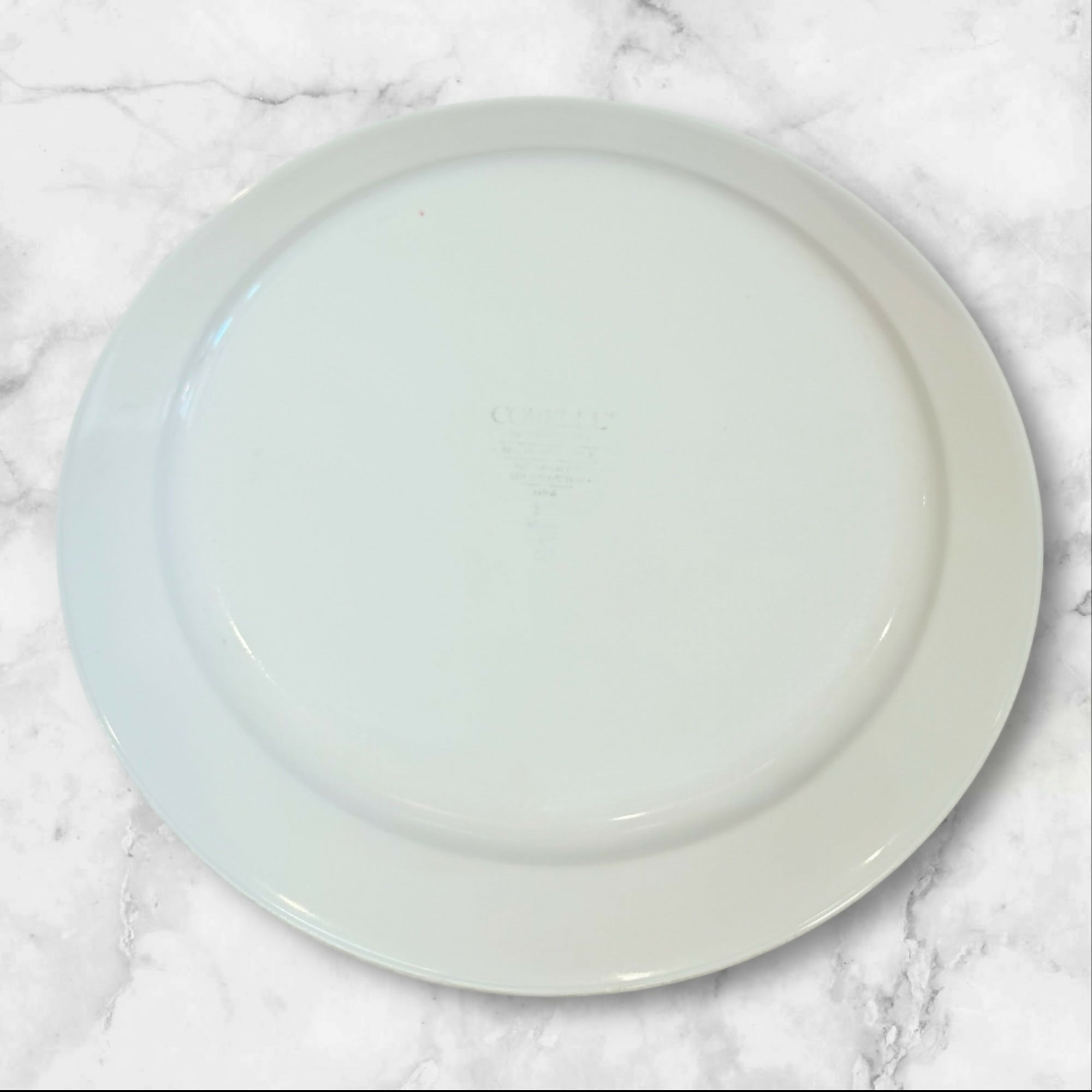 Corelle Country Cornflower Dinner Plates | Set of 2 | Good Condition