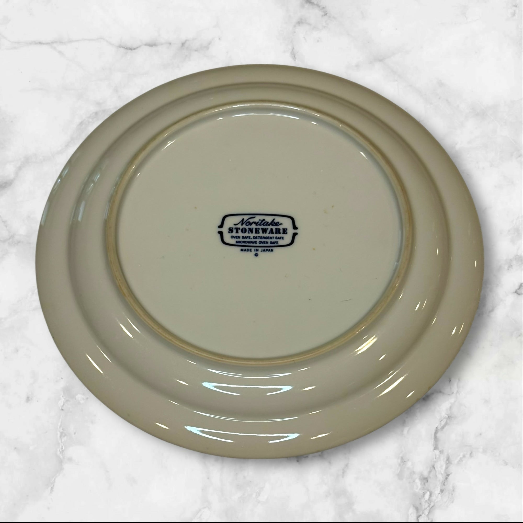 Noritake Ice Flower Stoneware Dinner & Salad Plates | Set of 10 | Great Condition