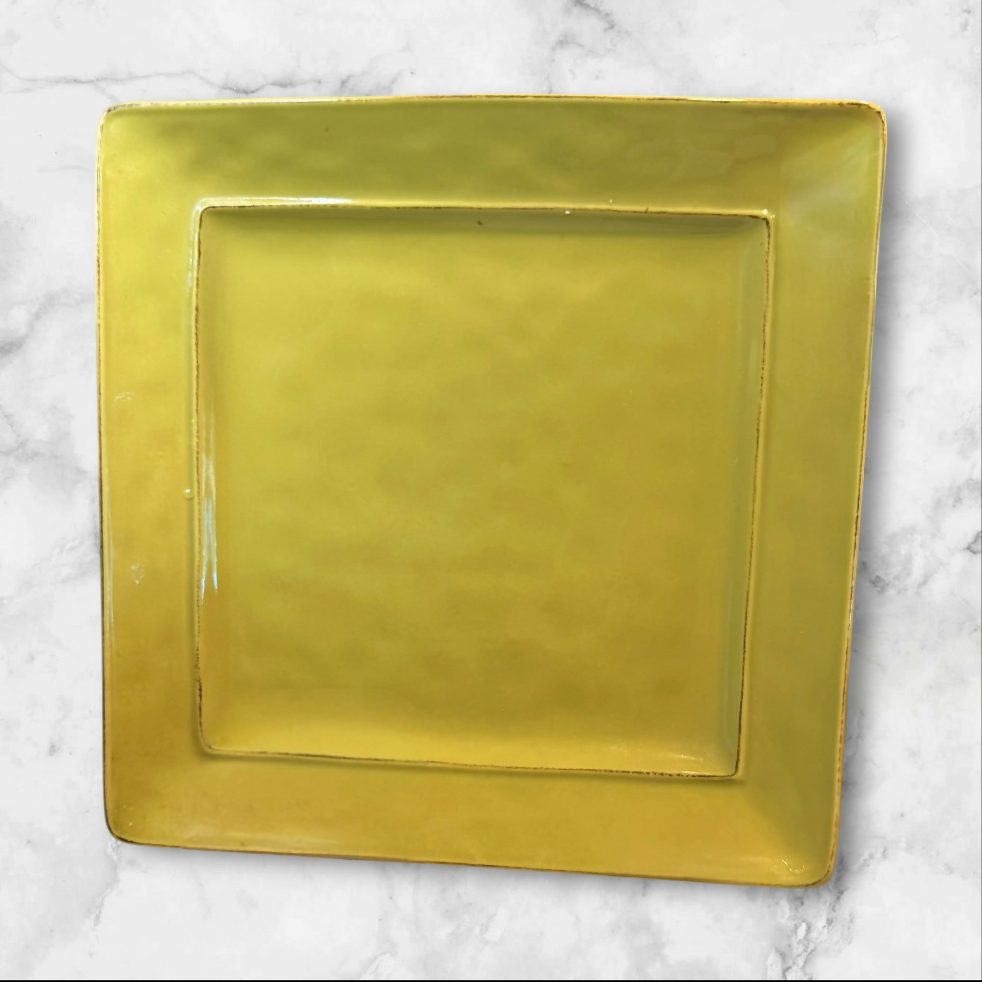 Pier 1 Martillo Sage Yellow Dinner Plates | Set of 2 | Great Condition
