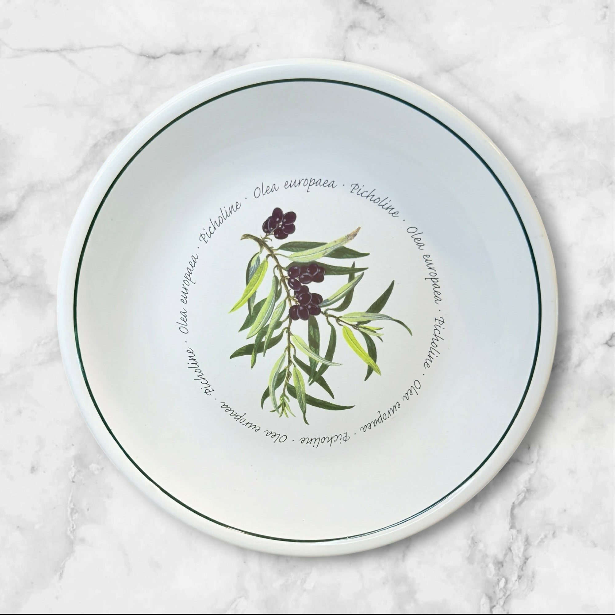 Williams Sonoma WSO20 Olive Pasta Bowls | Set of 4 | Great Condition